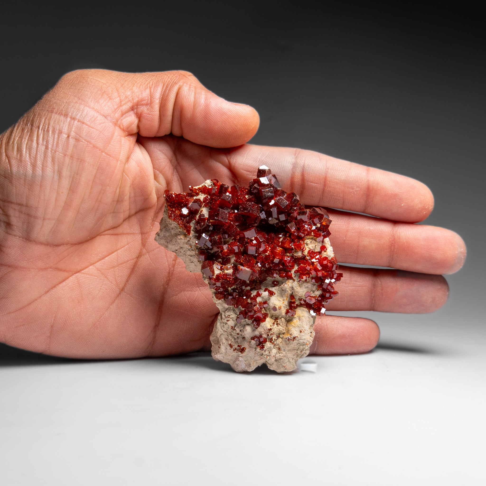 Vanadinite Crystal Cluster on Matrix from Morocco (118.7 grams)