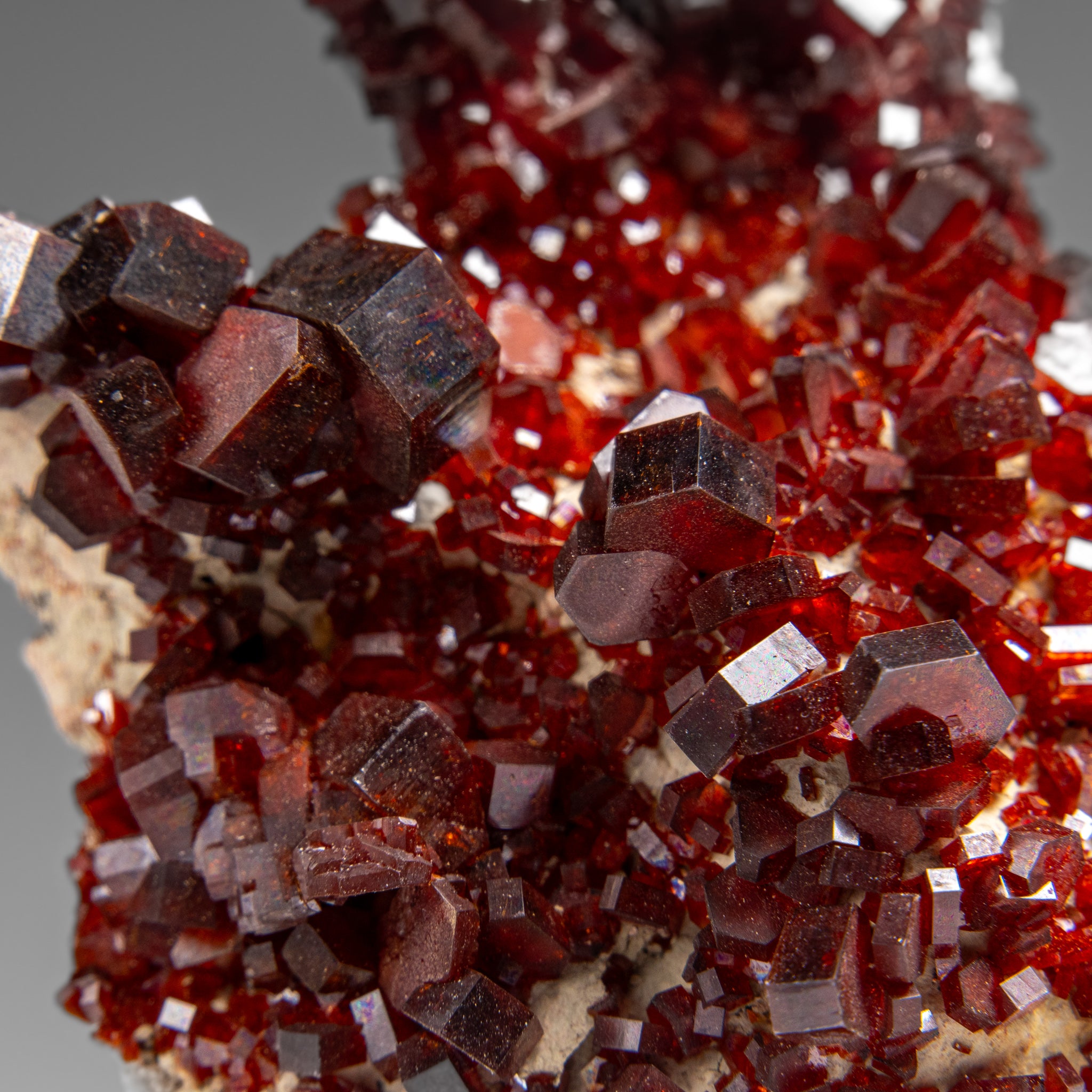 Vanadinite Crystal Cluster on Matrix from Morocco (196.6 grams)