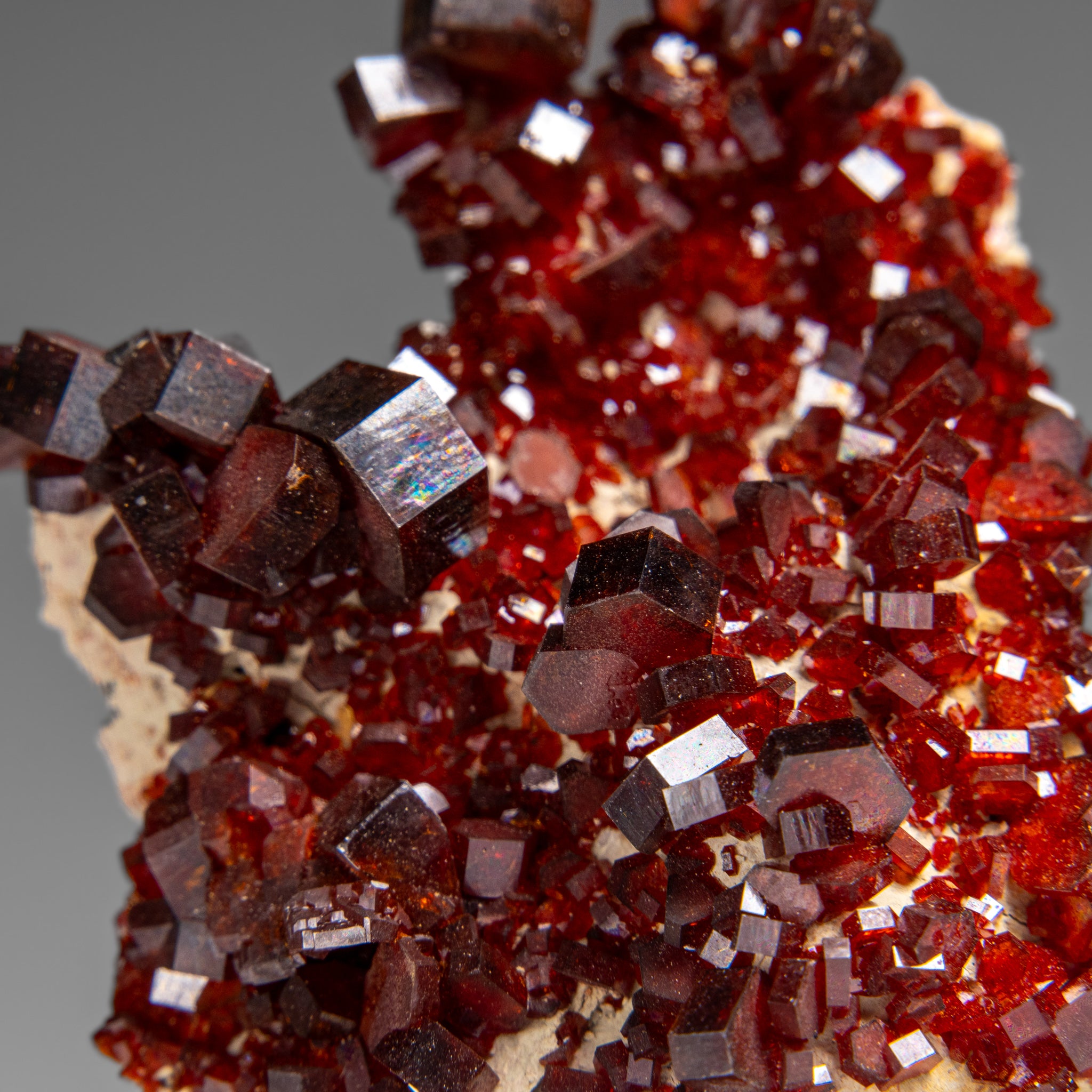 Vanadinite Crystal Cluster on Matrix from Morocco (196.6 grams)