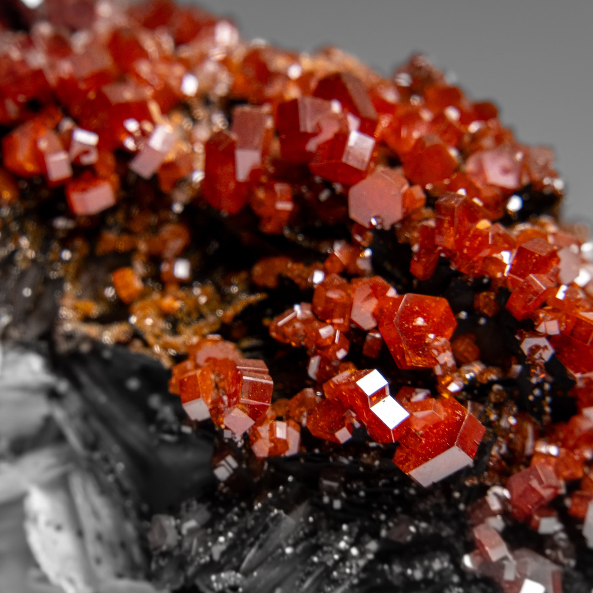 Vanadinite Crystal Cluster on Matrix from Morocco (324.1 grams)