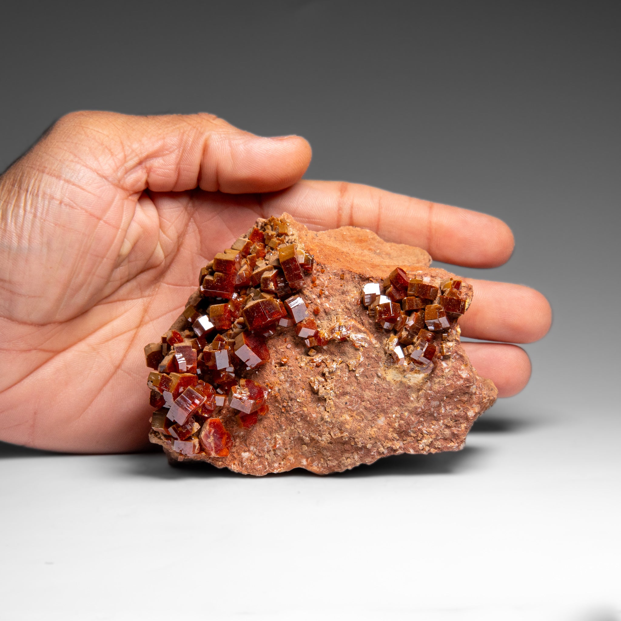 Vanadinite Crystal Cluster on Matrix from Morocco (587.5 grams)