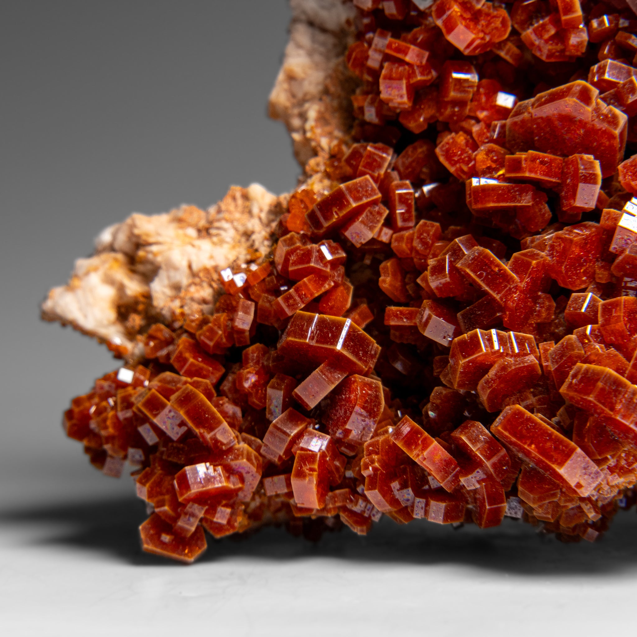 Vanadinite Crystal Cluster on Matrix from Morocco (597.6 grams)