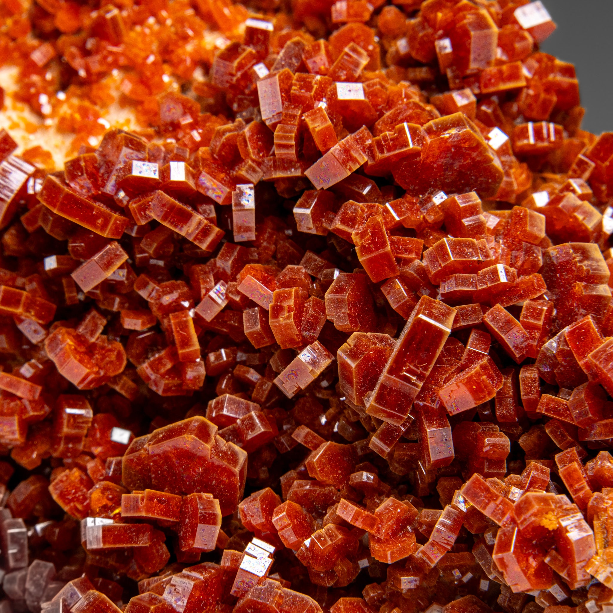 Vanadinite Crystal Cluster on Matrix from Morocco (597.6 grams)