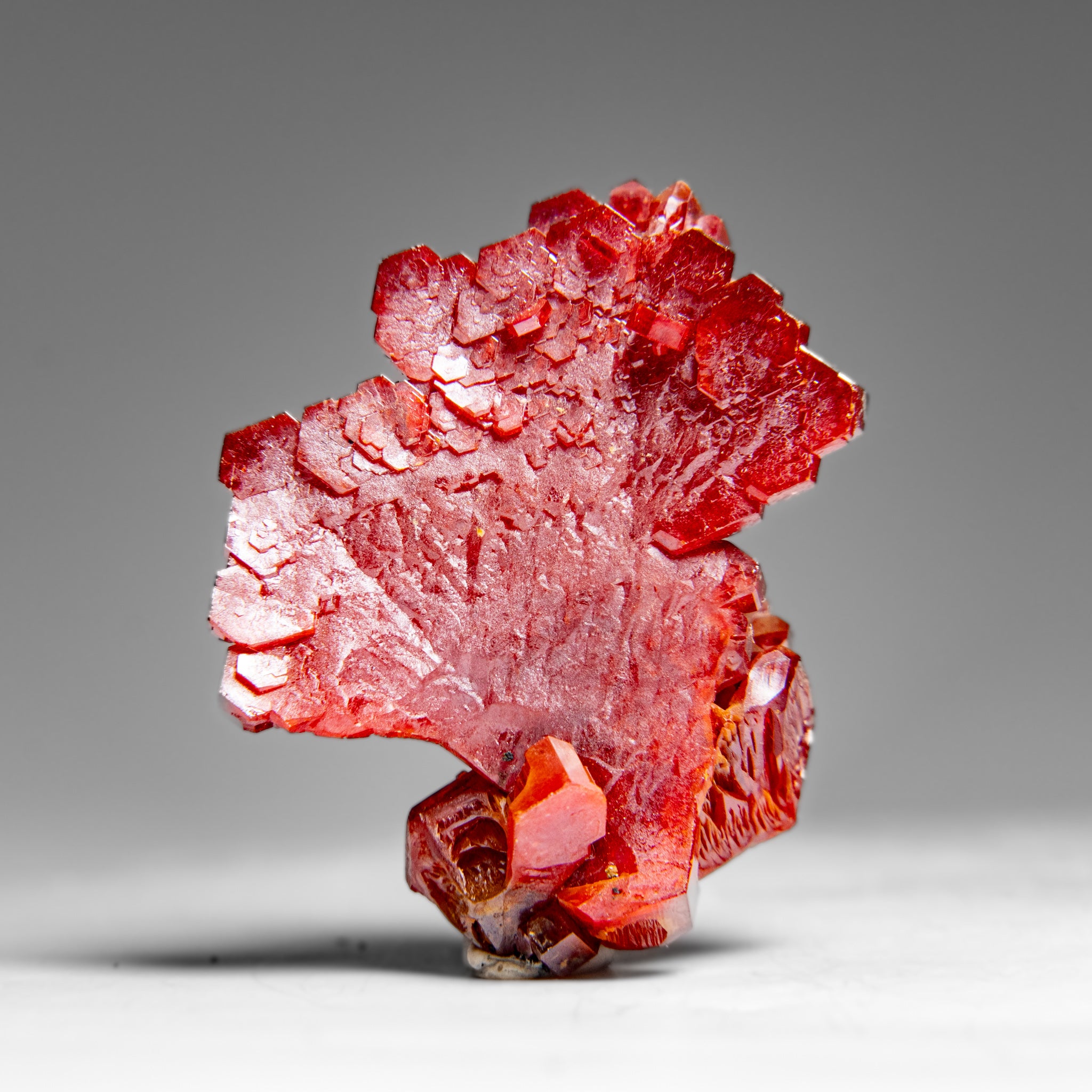 Vanadinite (Parallel Hoppered Growth) Crystal Cluster from Morocco (25.2 grams)