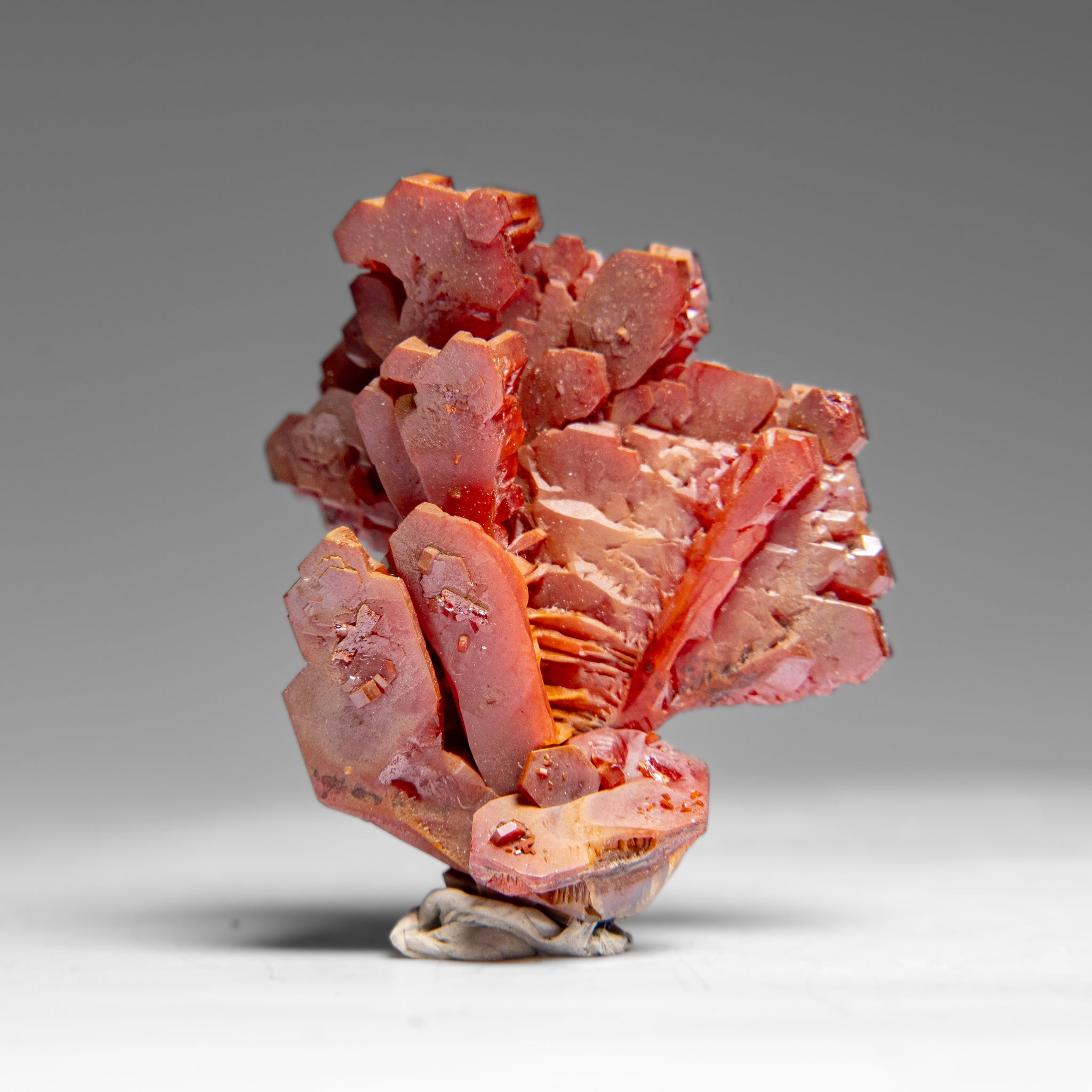 Vanadinite (Parallel Hoppered Growth) Crystal Cluster from Morocco (25.2 grams)