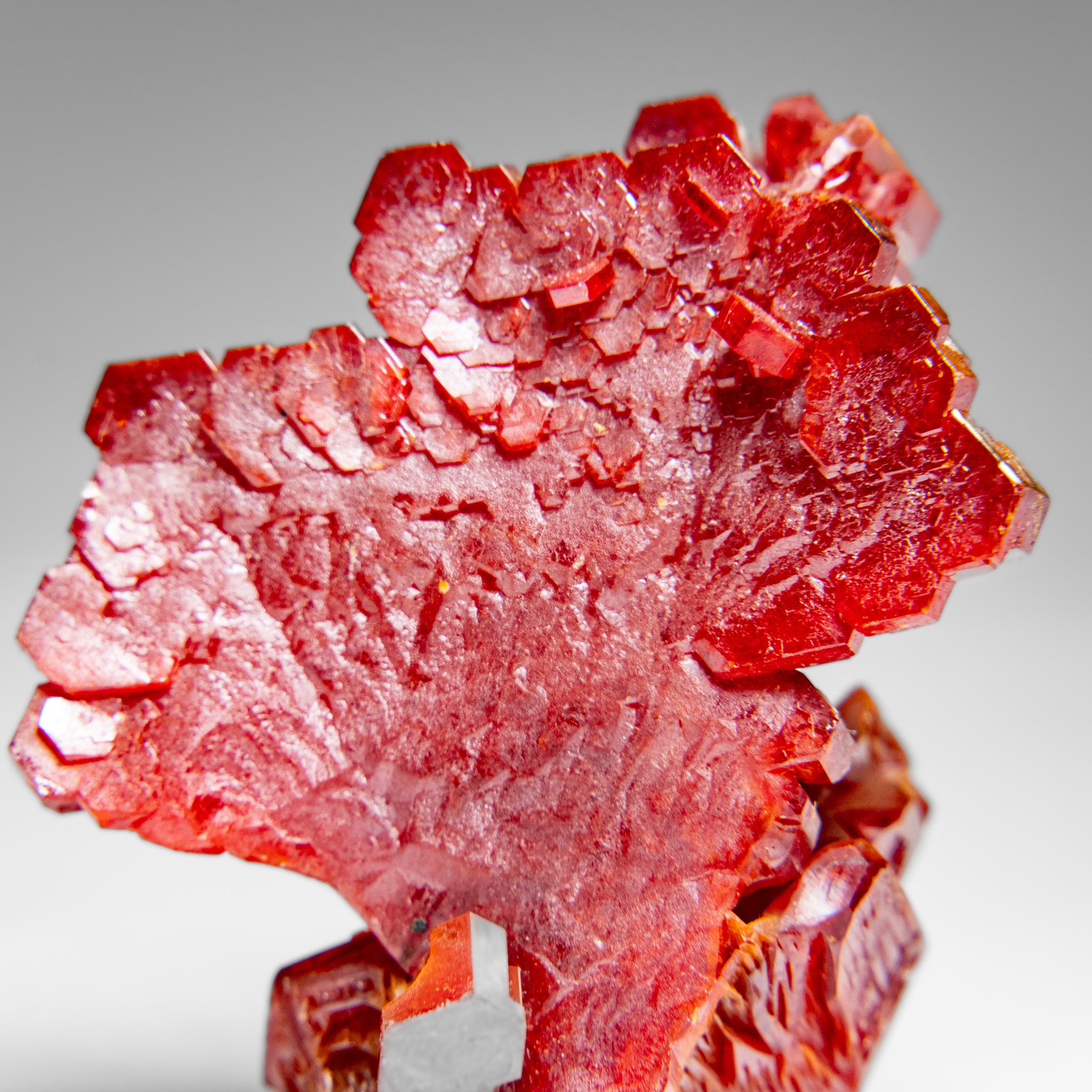 Vanadinite (Parallel Hoppered Growth) Crystal Cluster from Morocco (25.2 grams)