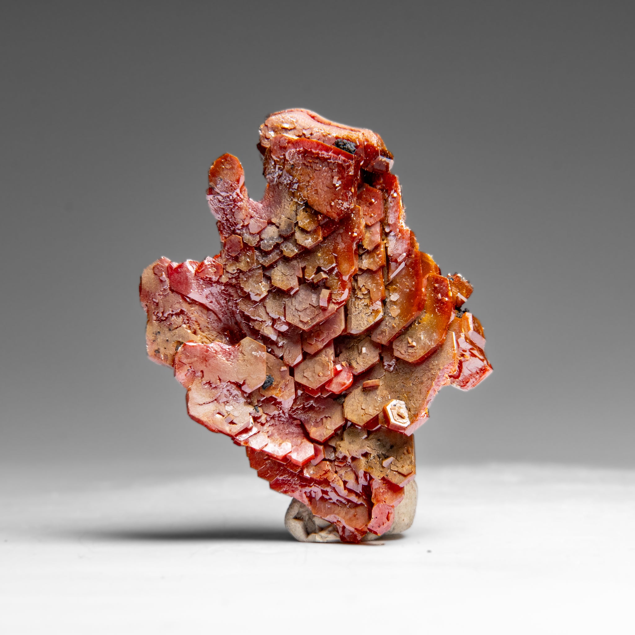 Vanadinite (Parallel Hoppered Growth) Crystal Cluster from Morocco (43.4 grams)