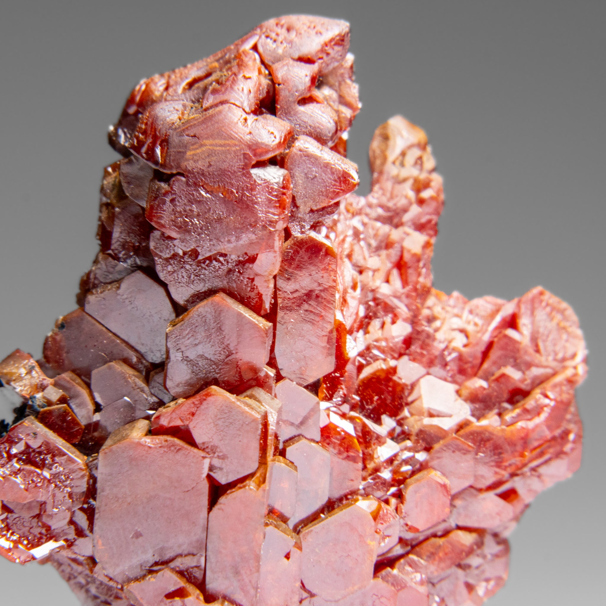 Vanadinite (Parallel Hoppered Growth) Crystal Cluster from Morocco (43.4 grams)