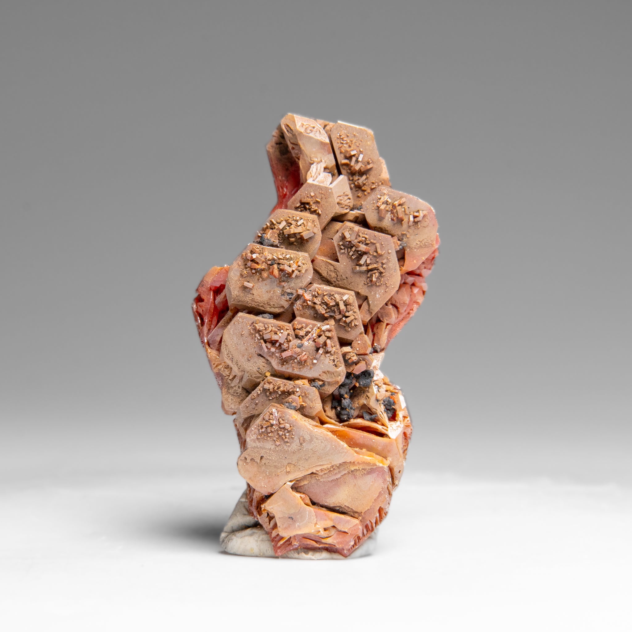 Vanadinite (Parallel Hoppered Growth) Crystal Cluster from Morocco (32.4 grams)