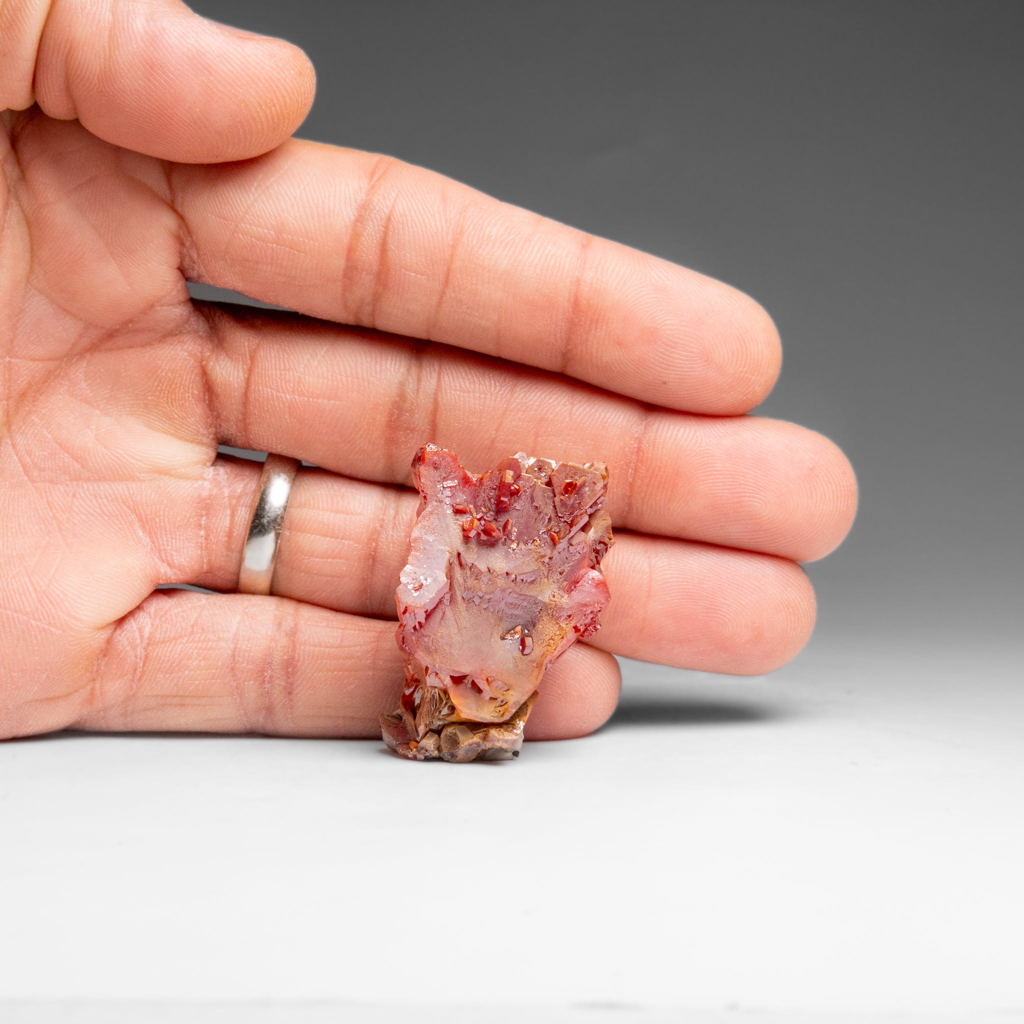 Vanadinite (Parallel Hoppered Growth) Crystal Cluster from Morocco (32.1 grams)