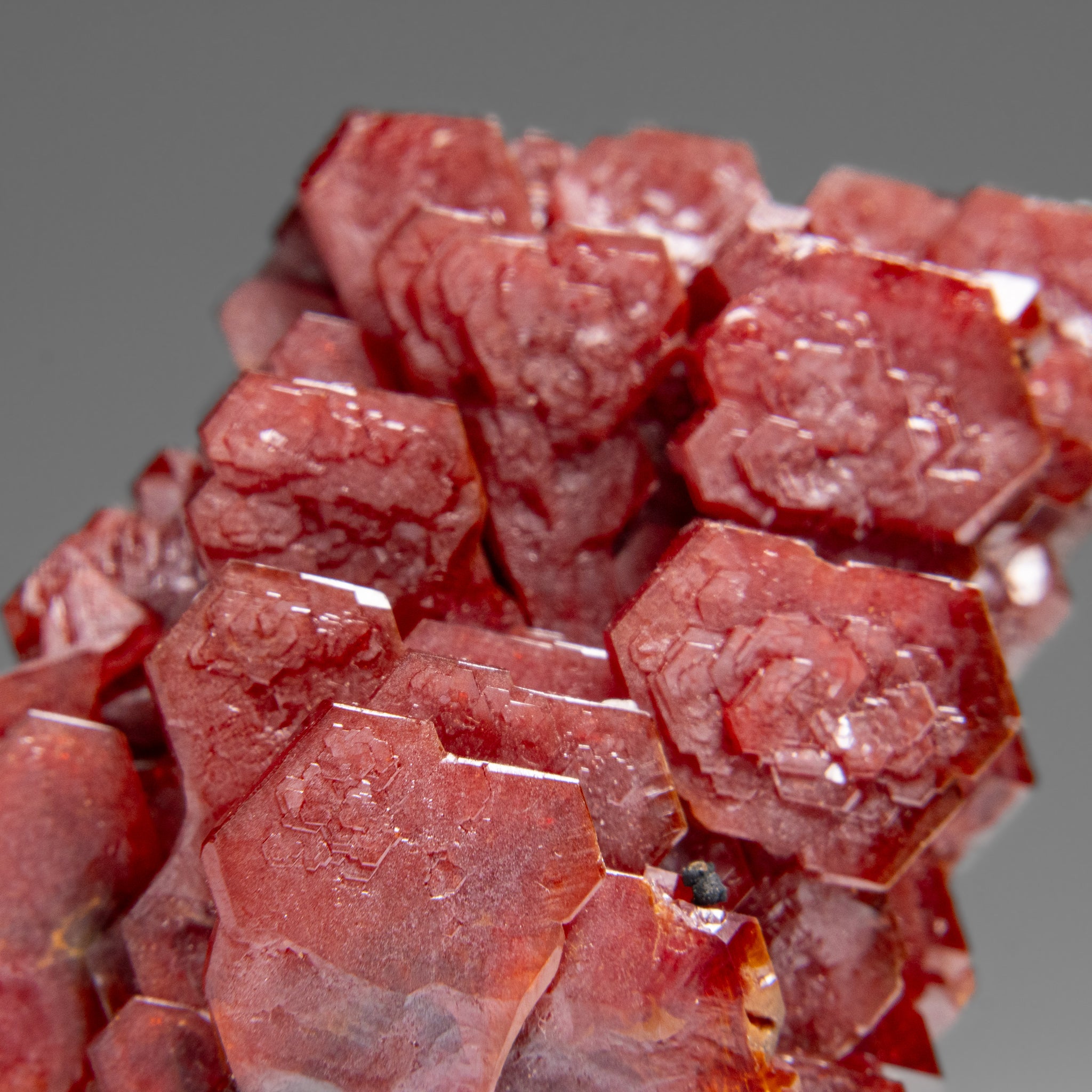 Vanadinite (Parallel Hoppered Growth) Crystal Cluster from Morocco (65.3 grams)
