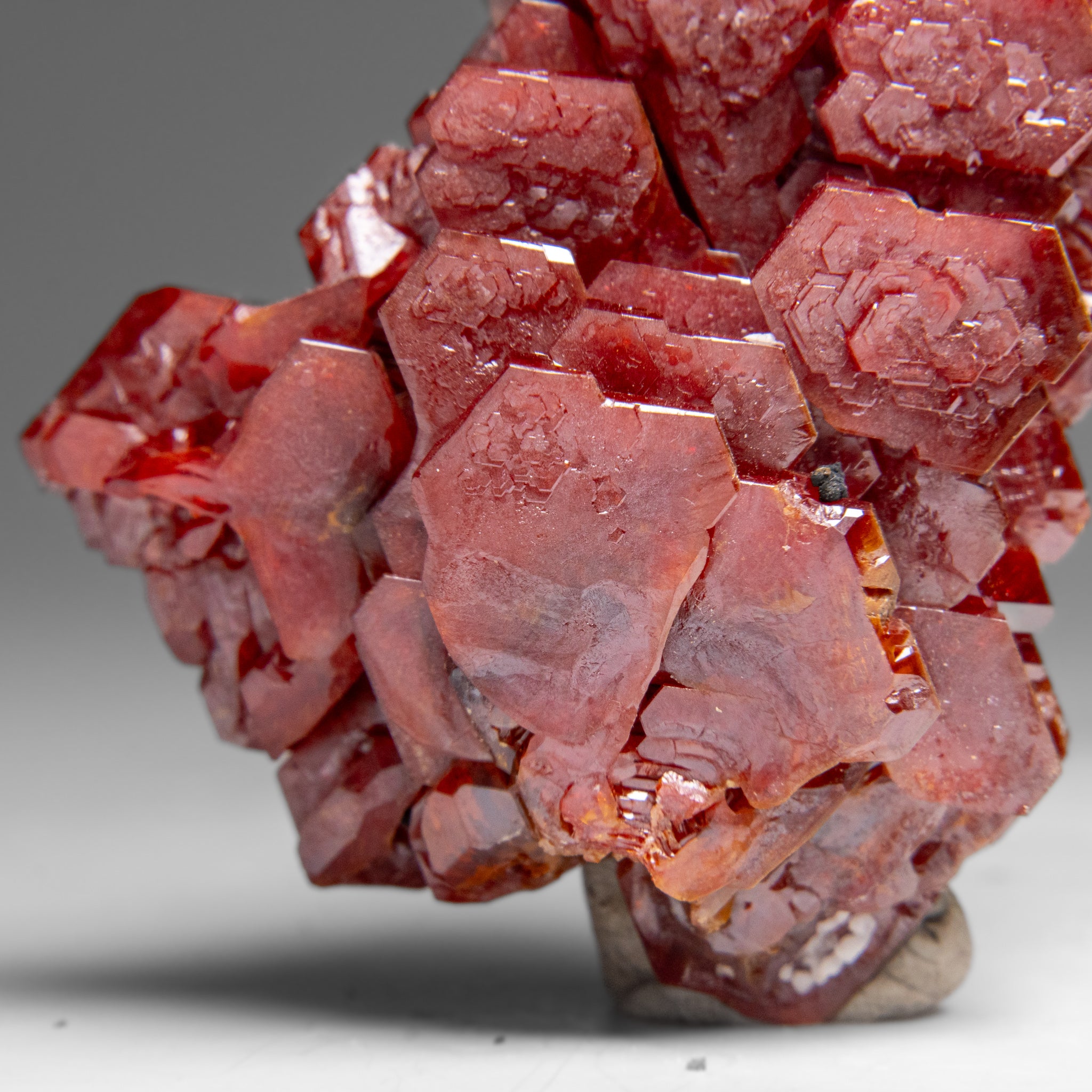 Vanadinite (Parallel Hoppered Growth) Crystal Cluster from Morocco (65.3 grams)