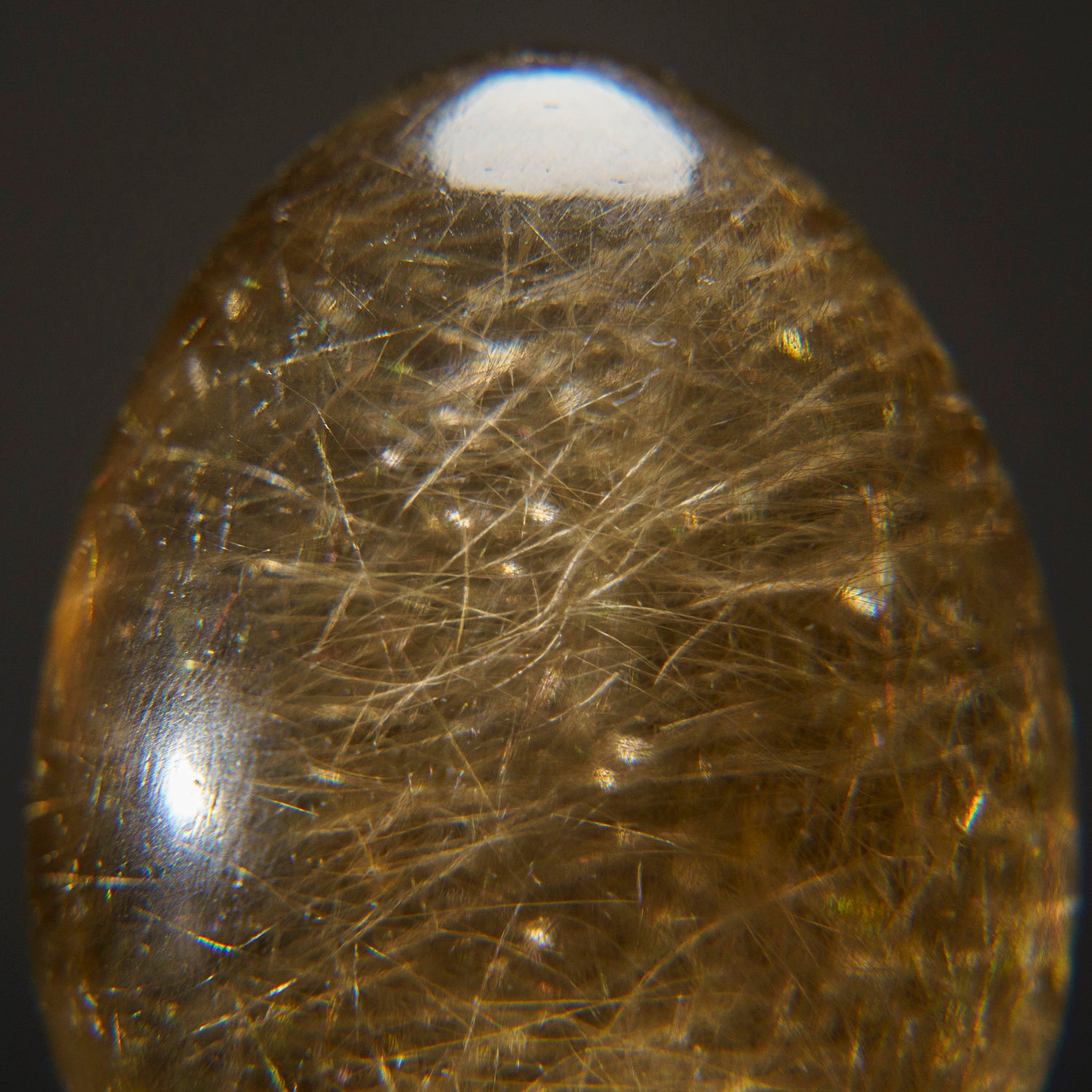Genuine Polished Rutile Smoky Quartz Egg from Brazil (221.9 grams)