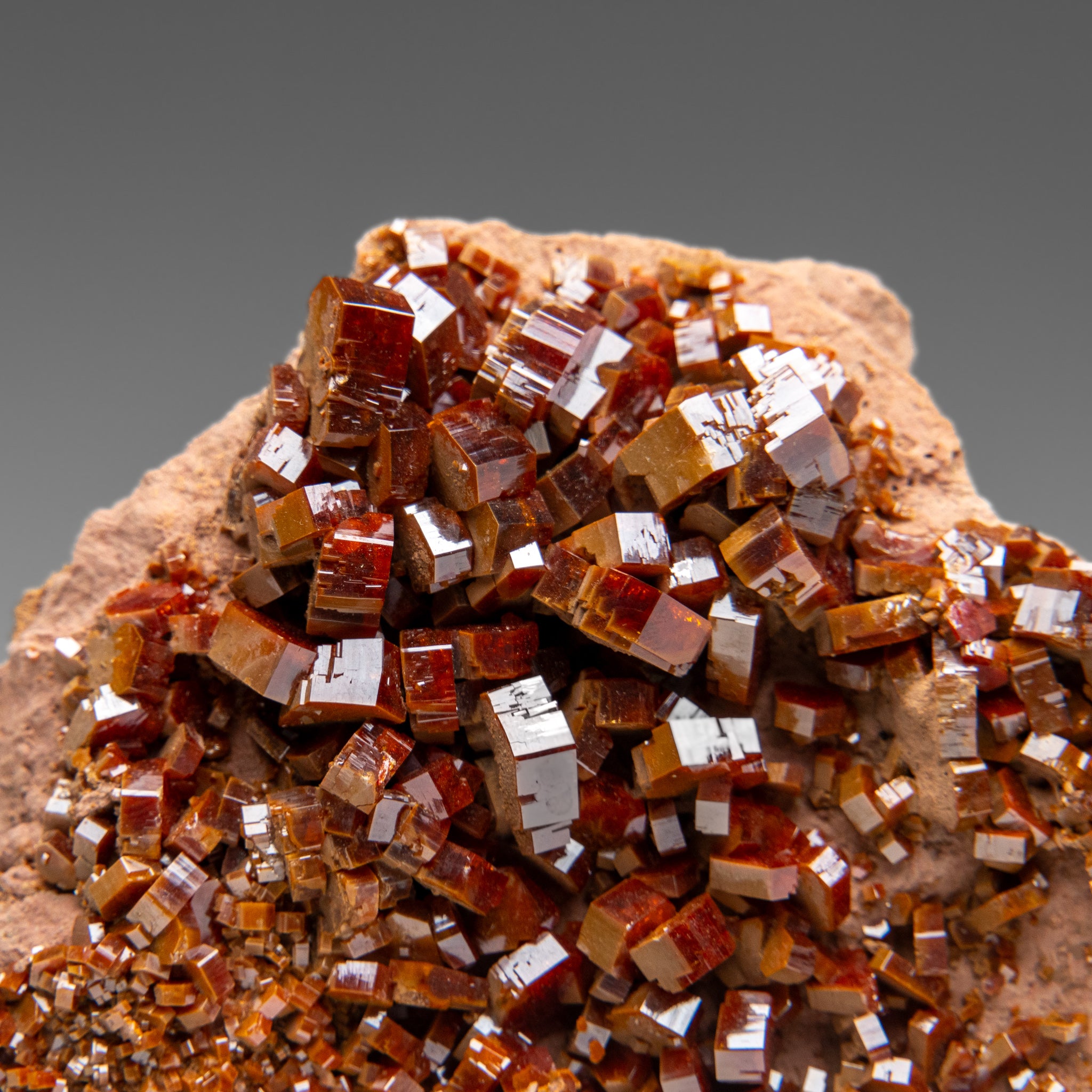 Vanadinite Crystal Cluster on Matrix from Morocco (2 lbs)