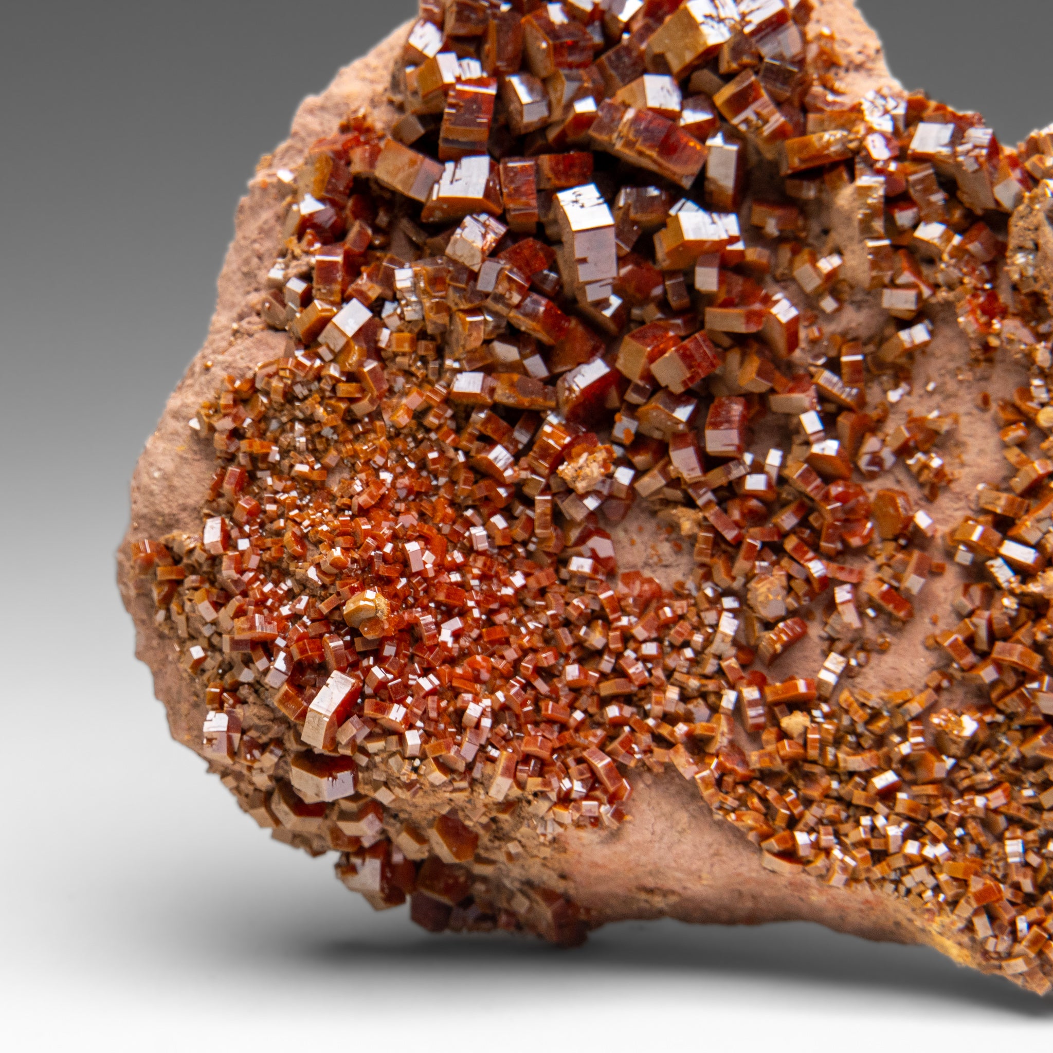 Vanadinite Crystal Cluster on Matrix from Morocco (2 lbs)