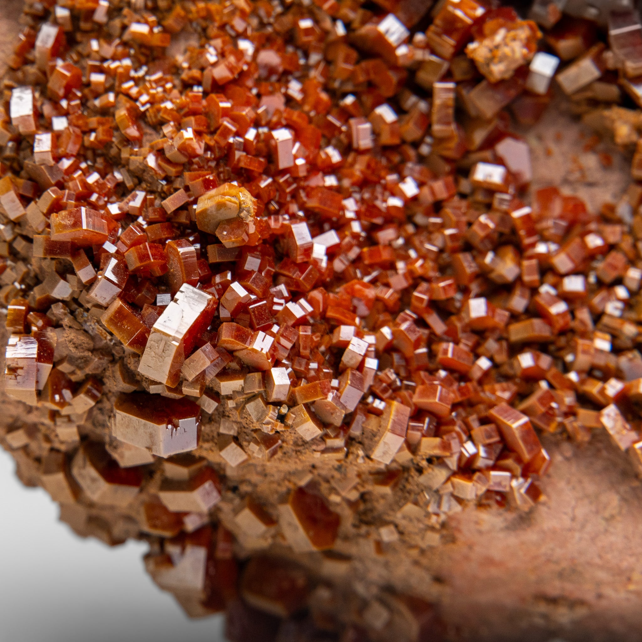 Vanadinite Crystal Cluster on Matrix from Morocco (2 lbs)