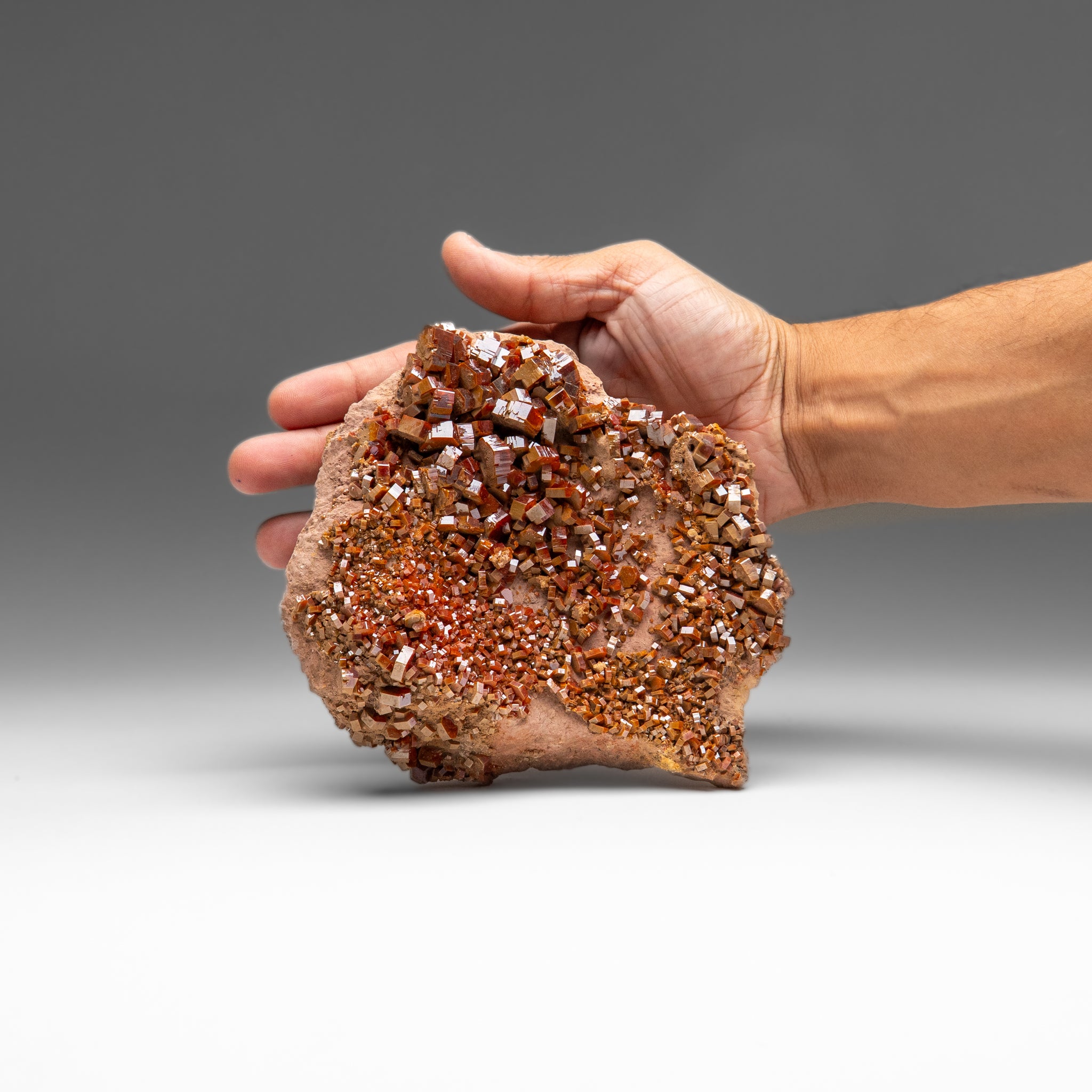 Vanadinite Crystal Cluster on Matrix from Morocco (2 lbs)