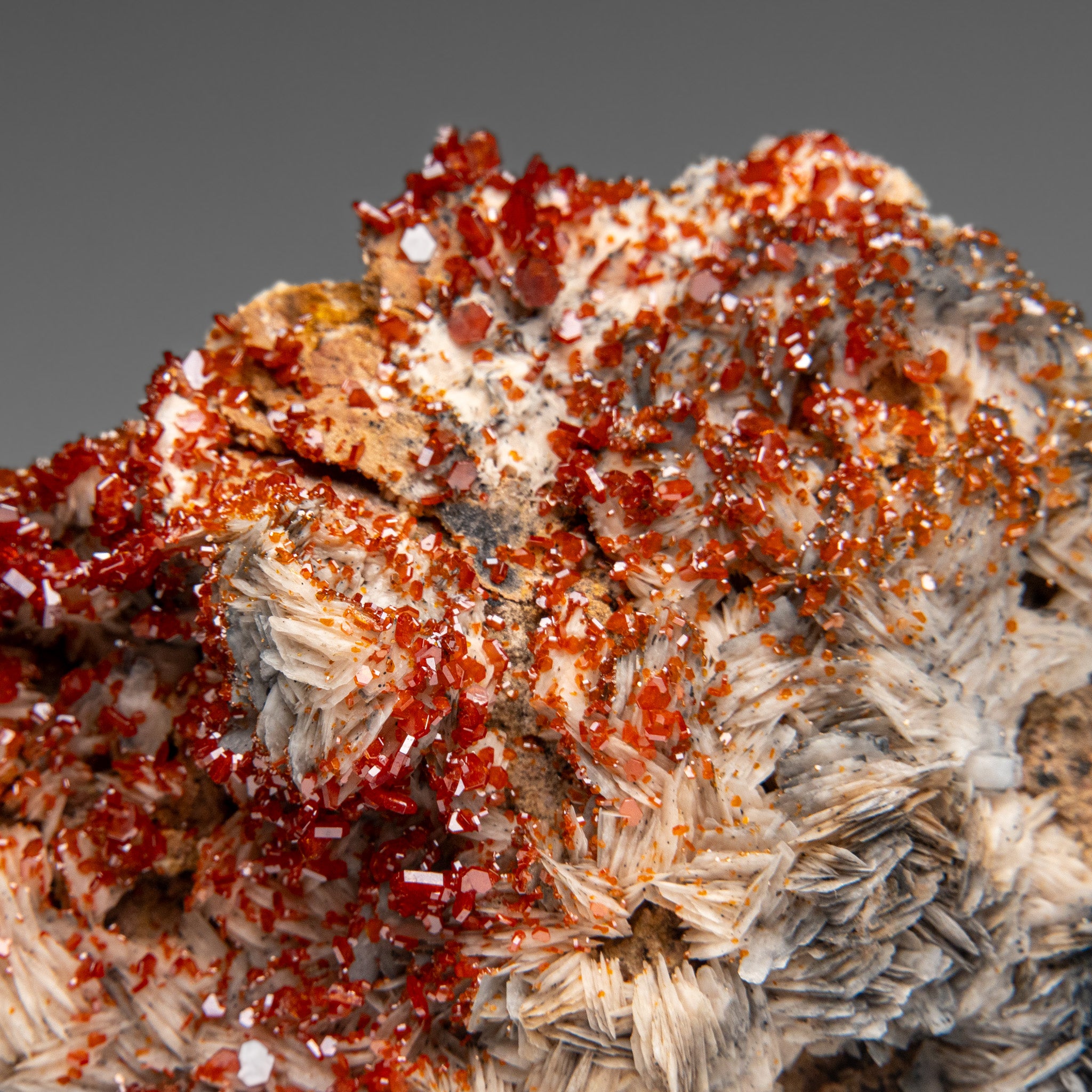 Vanadinite Crystal Cluster on Matrix from Morocco (5.5 lbs)