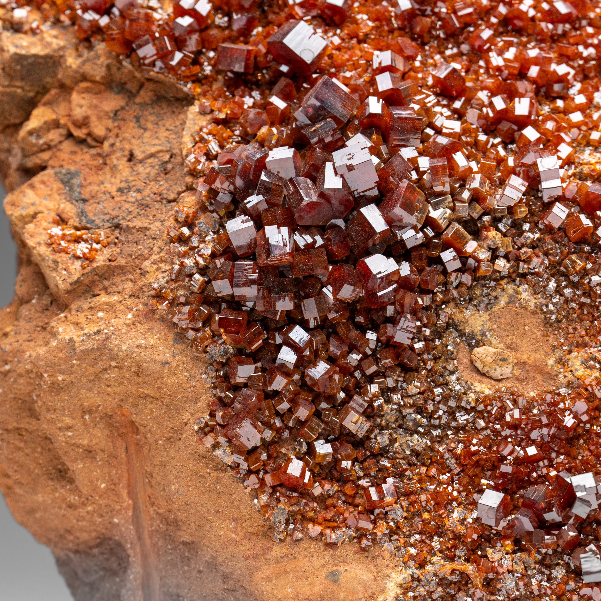 Vanadinite Crystal Cluster on Matrix from Morocco (7.5 lbs)
