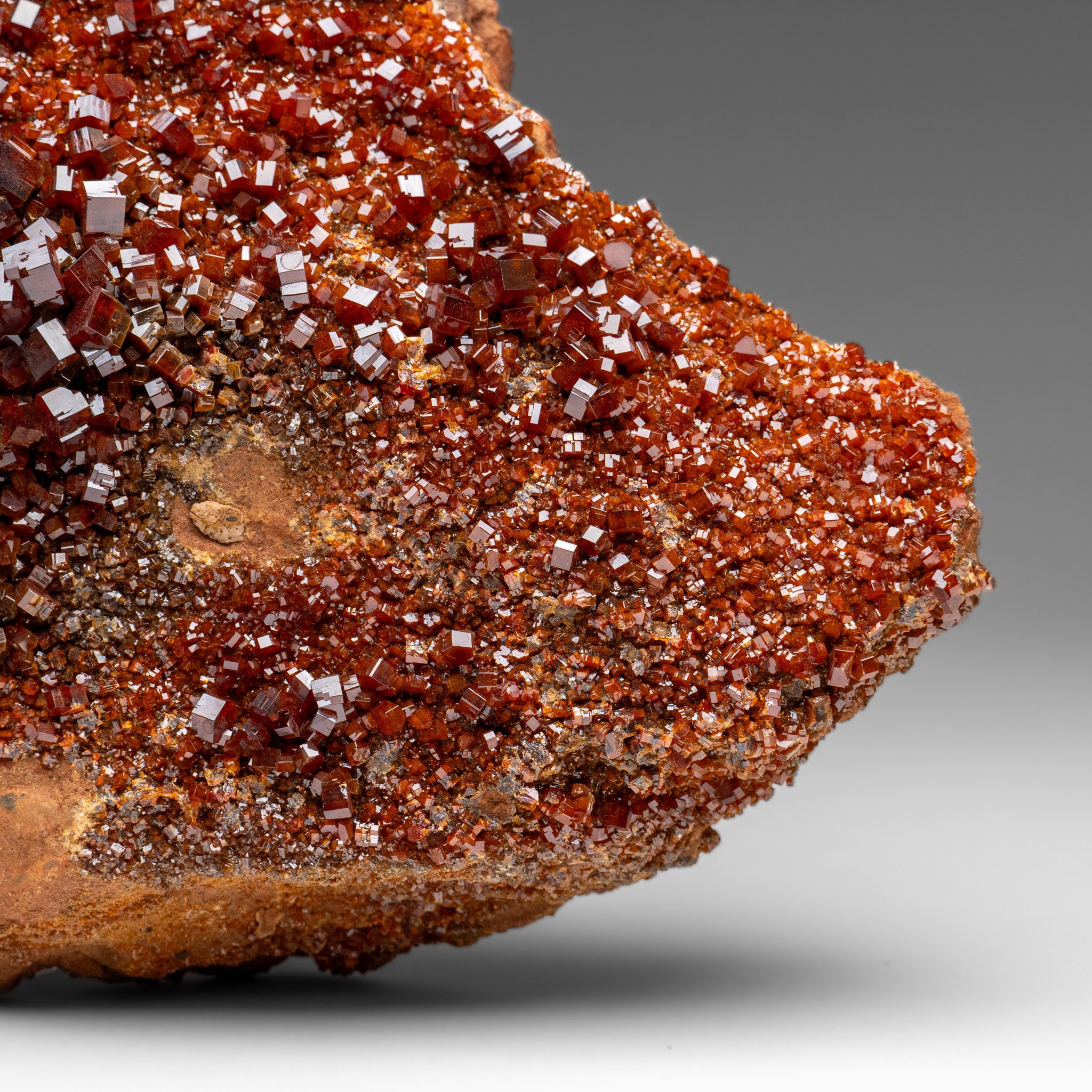 Vanadinite Crystal Cluster on Matrix from Morocco (7.5 lbs)