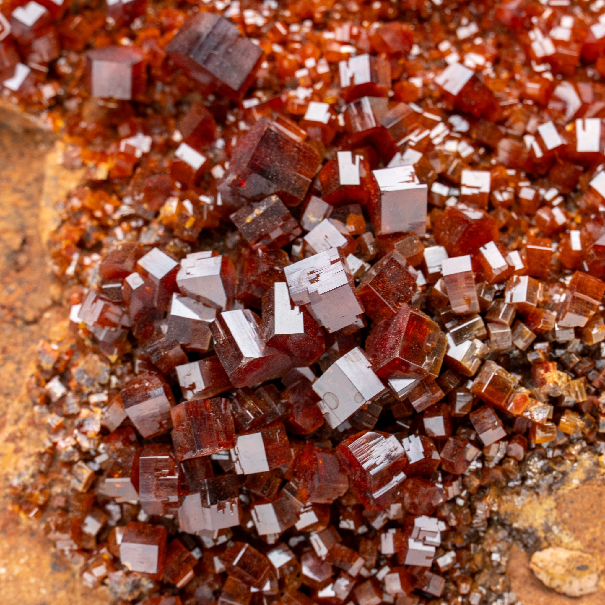 Vanadinite Crystal Cluster on Matrix from Morocco (7.5 lbs)