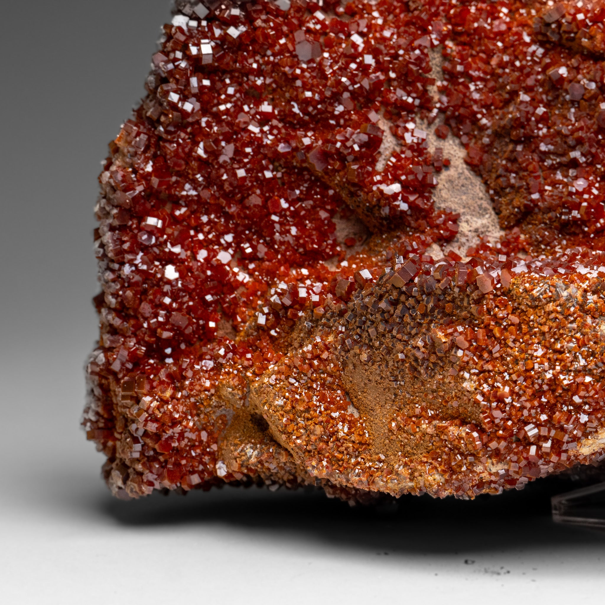 Vanadinite Crystal Cluster on Matrix from Morocco (7.5 lbs)