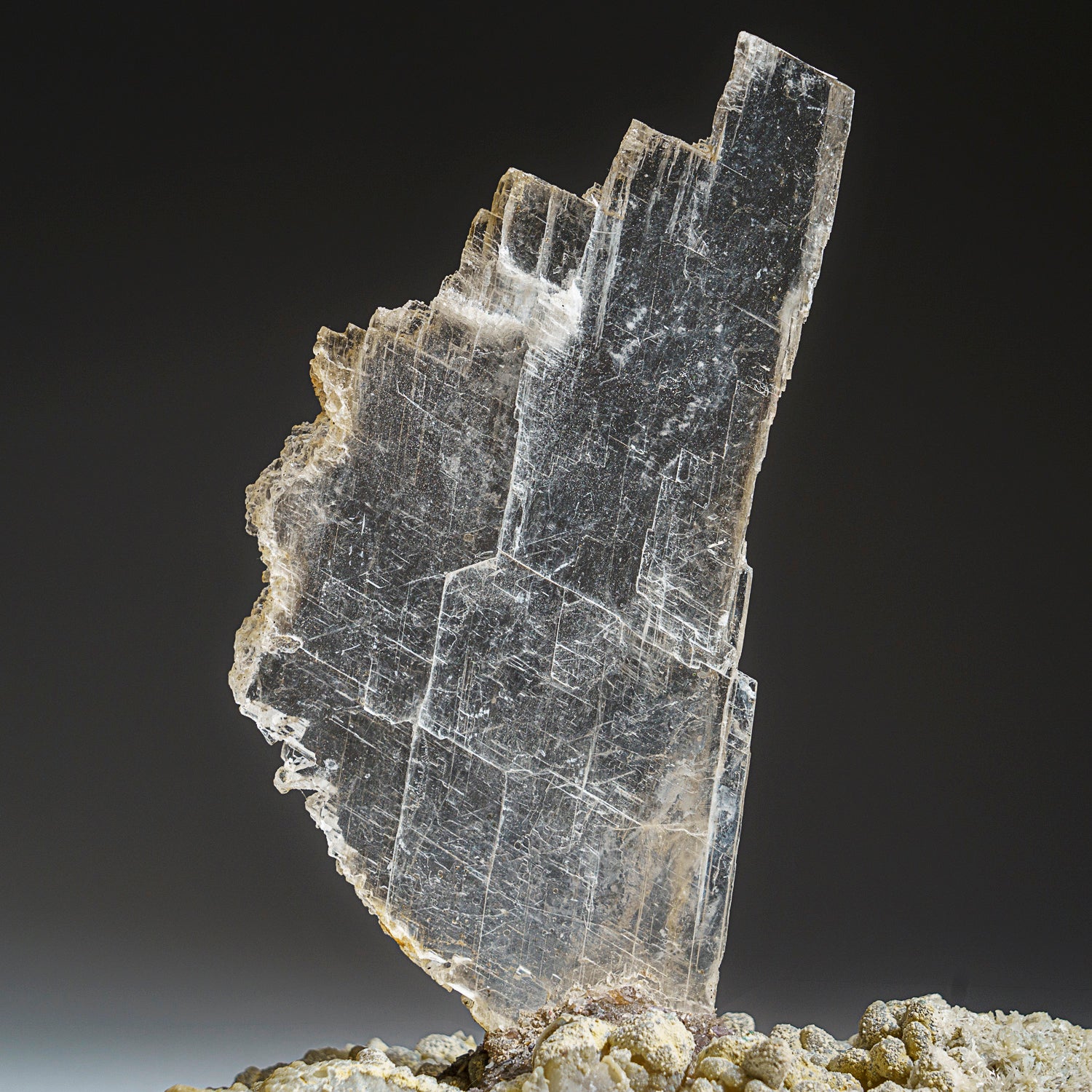 Gypsum Var. Selenite on Quartz from Rio Grande do Sul, Brazil (2.5 lbs)