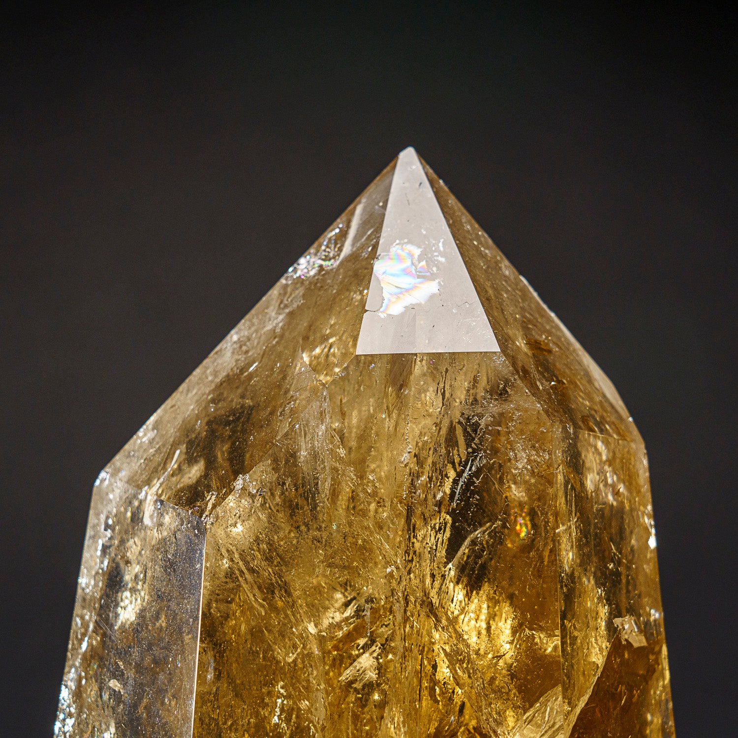Genuine Museum Quality Citrine Crystal Point from Brazil (8.5 lbs)