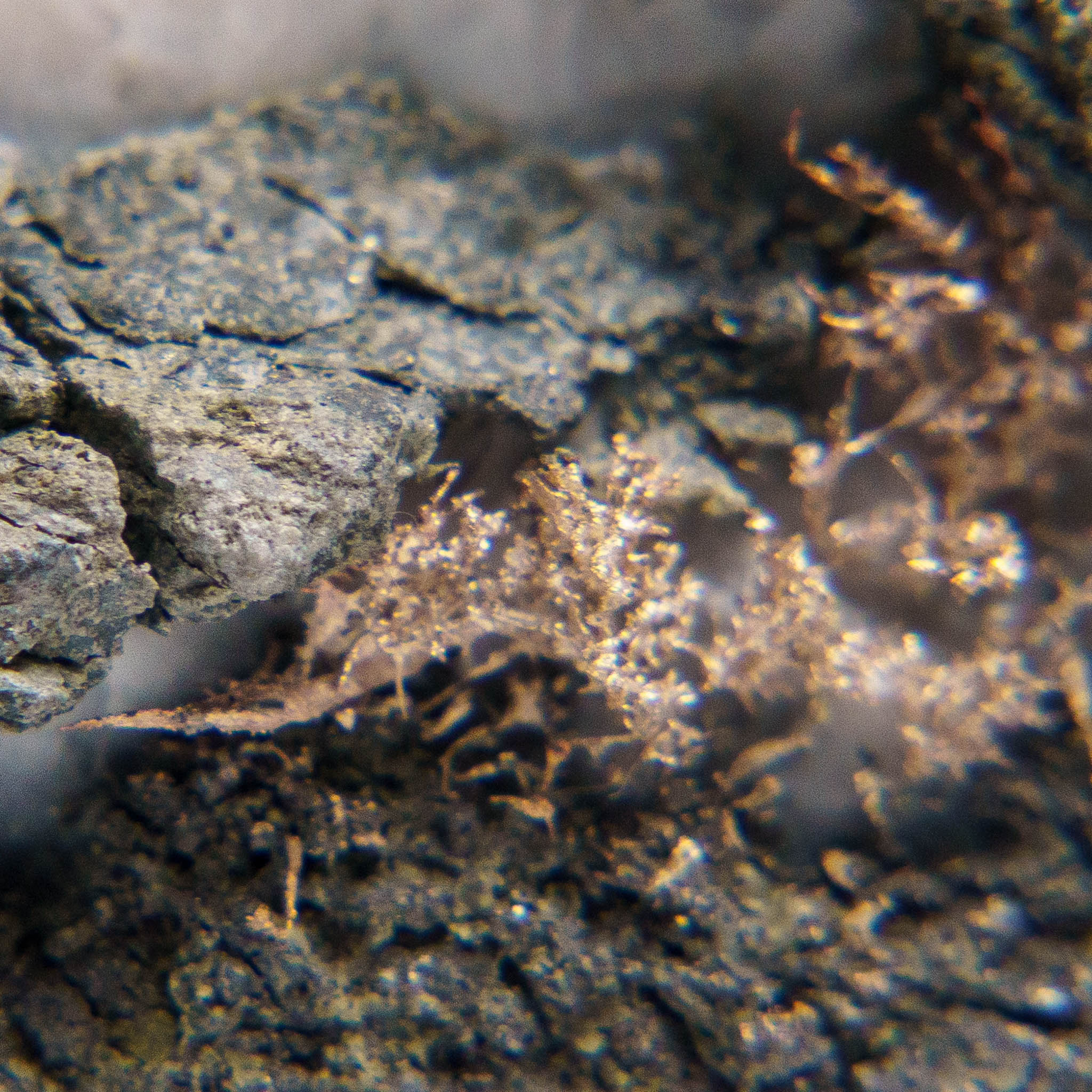 Native Silver on Calcite Crystal Cluster  Matrix From Bouismas Mine, Zagora, Morocco