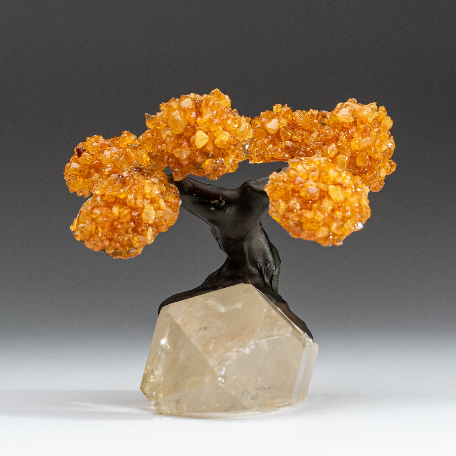 Small - Genuine Citrine Clustered Gemstone Tree on a Quartz Crystal (The Joyful Tree)