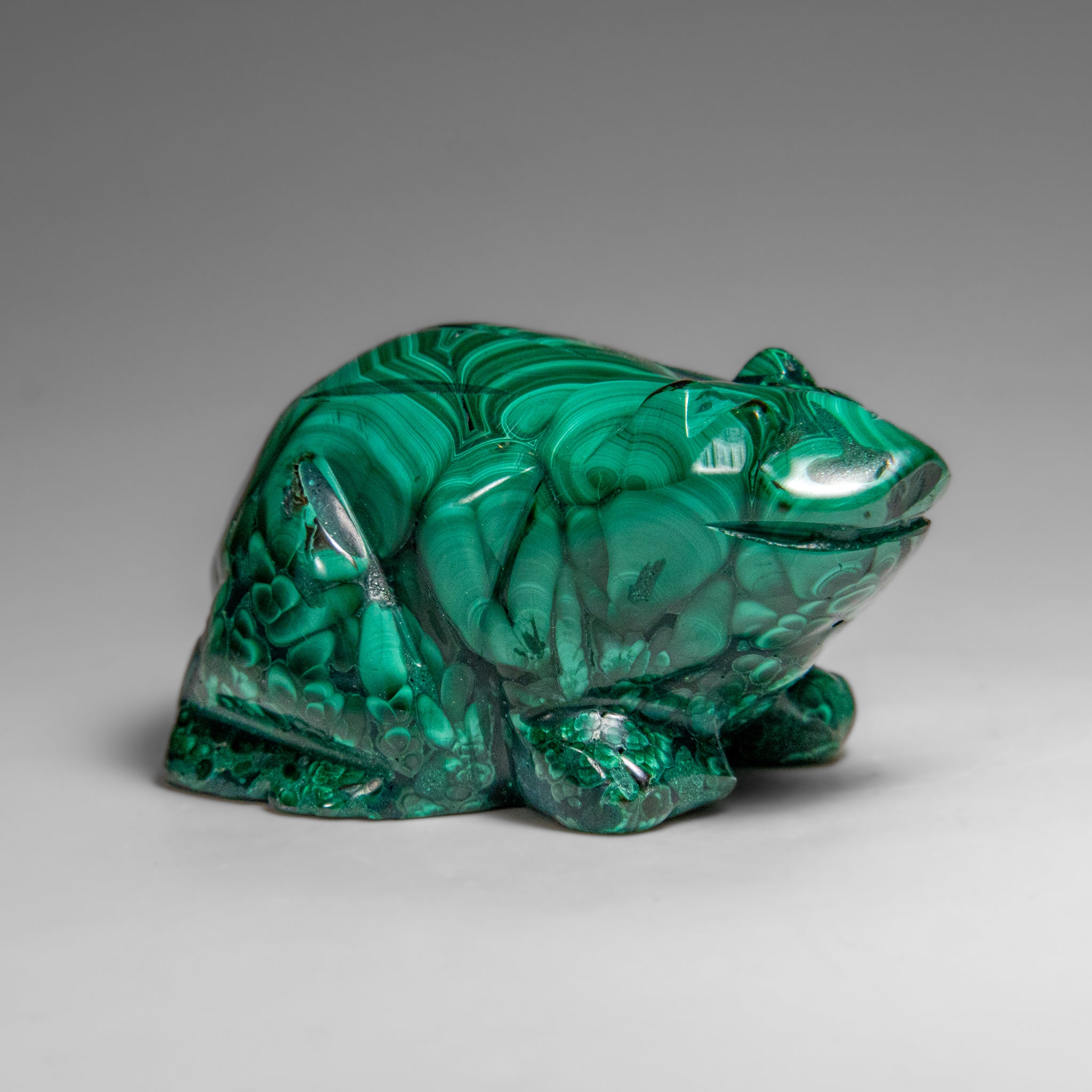 Genuine Polished Malachite Frog Carving (332.8 grams)