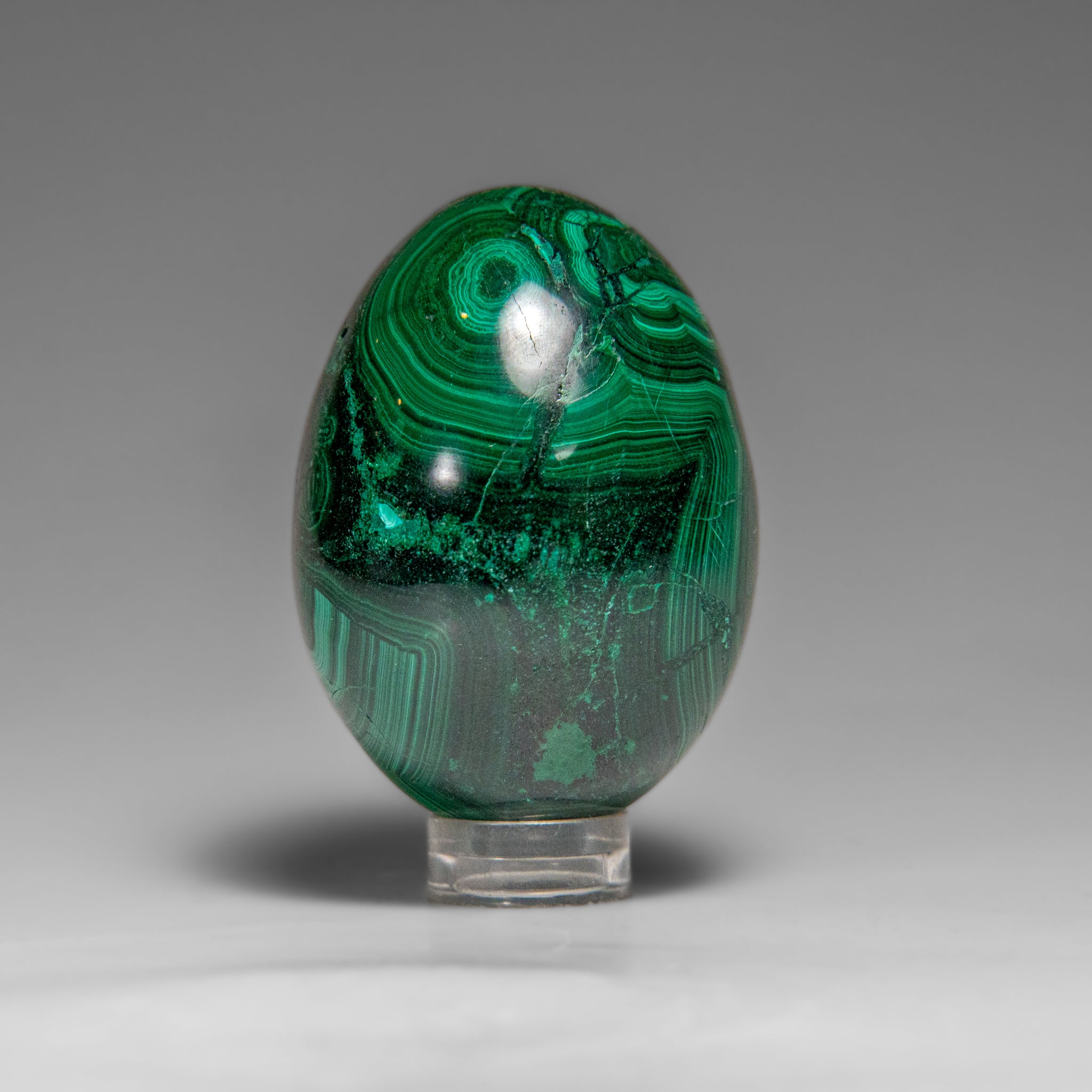 Genuine Polished Malachite Egg (154.9 grams)