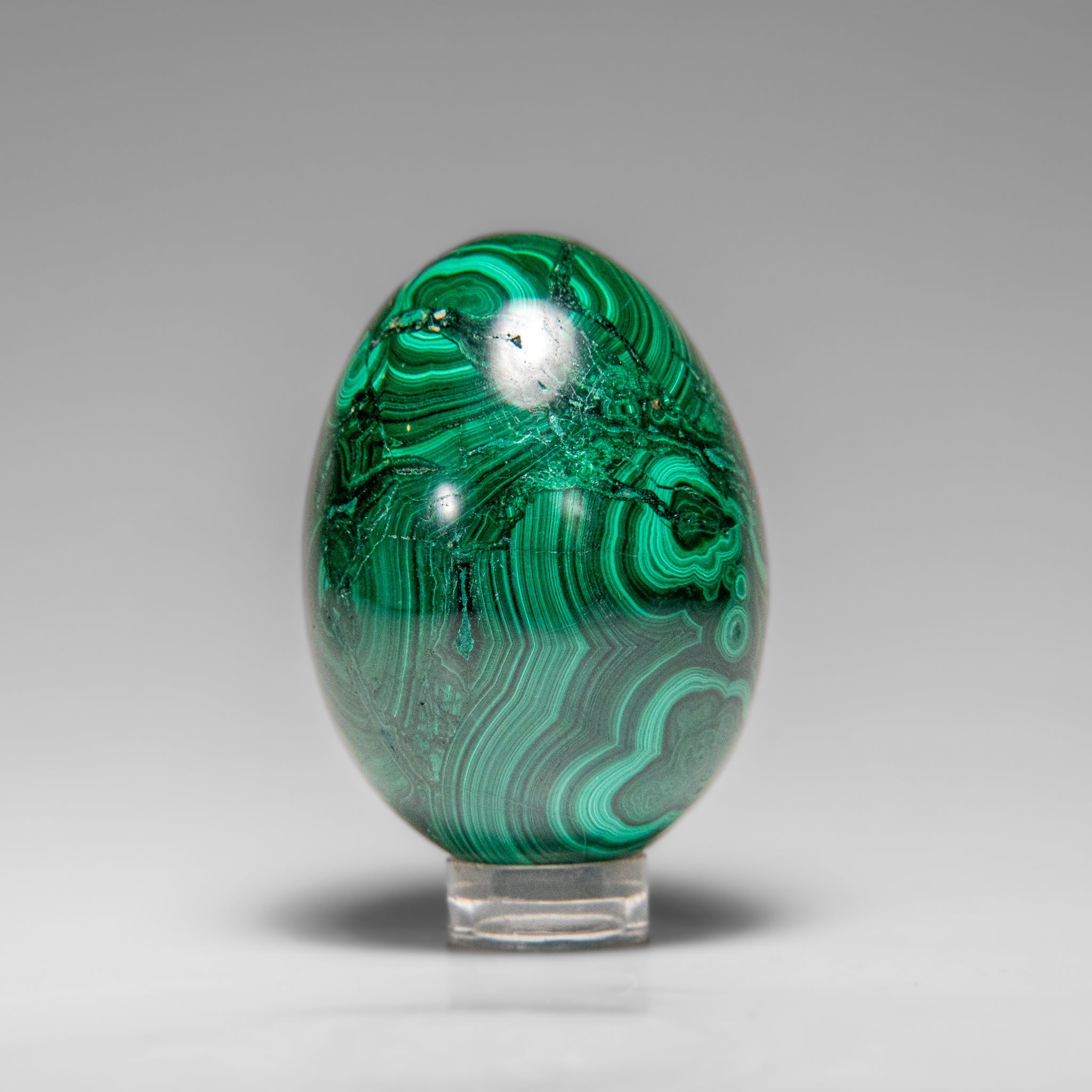 Genuine Polished Malachite Egg (154.9 grams)