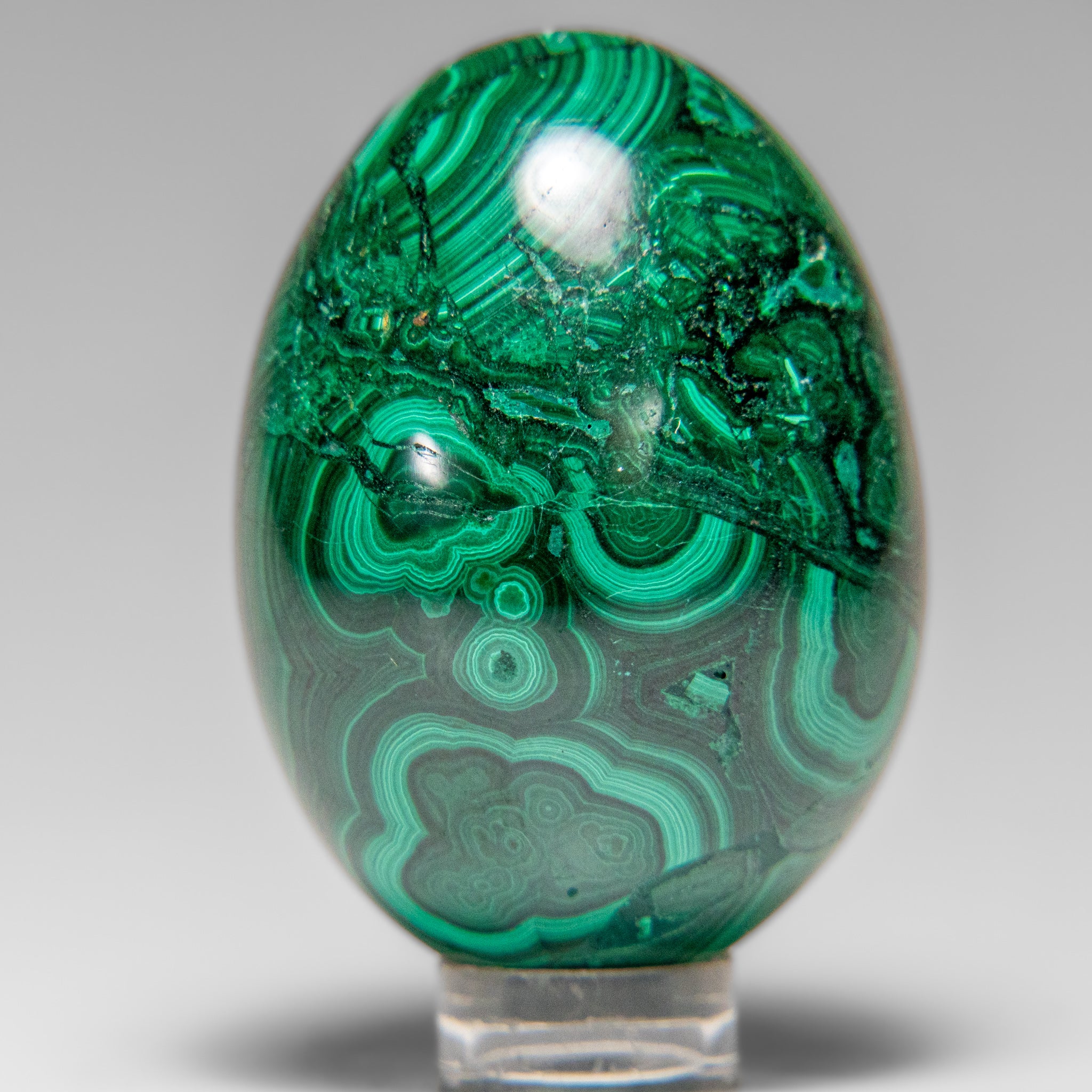 Genuine Polished Malachite Egg (154.9 grams)