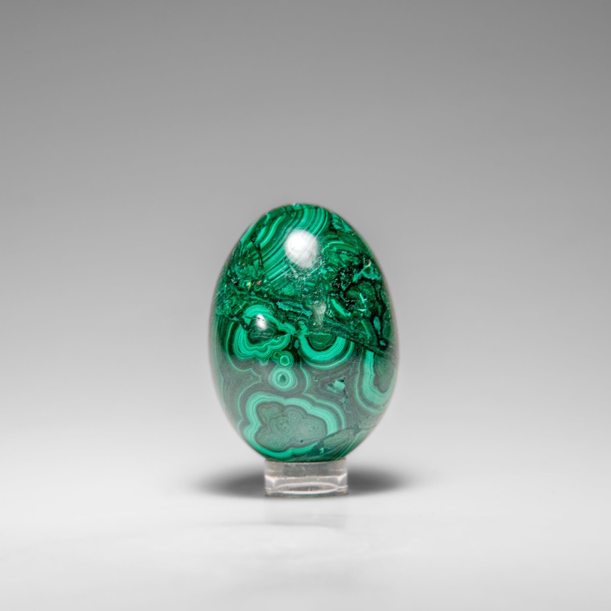 Genuine Polished Malachite Egg (154.9 grams)