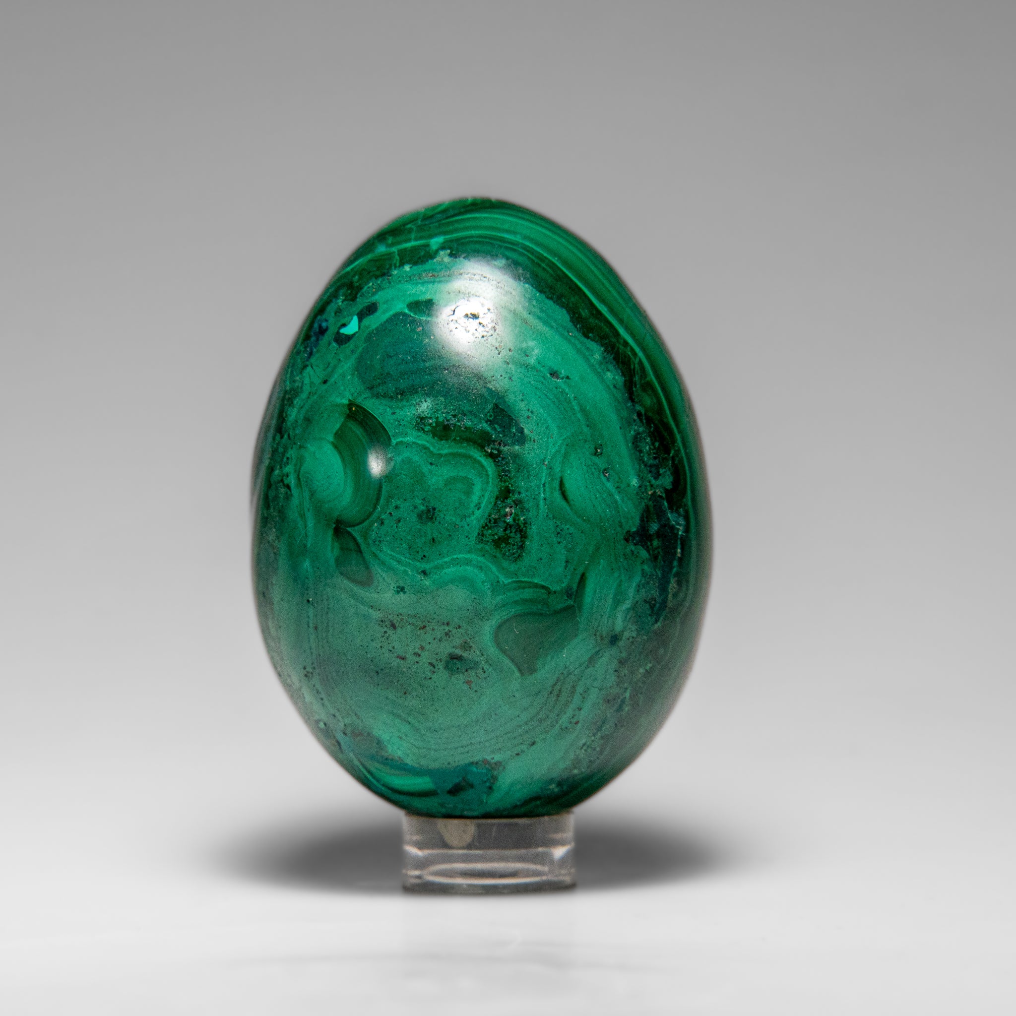 Genuine Polished Malachite Egg (235.8 grams)