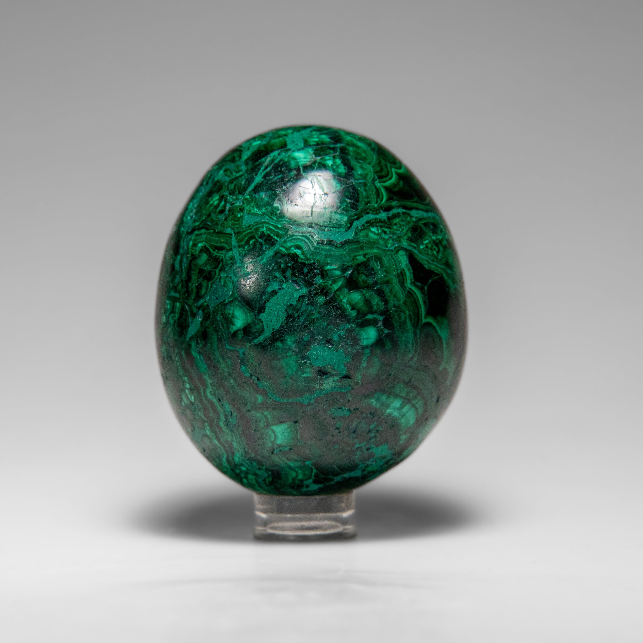 Genuine Polished Malachite Egg (299.8 grams)