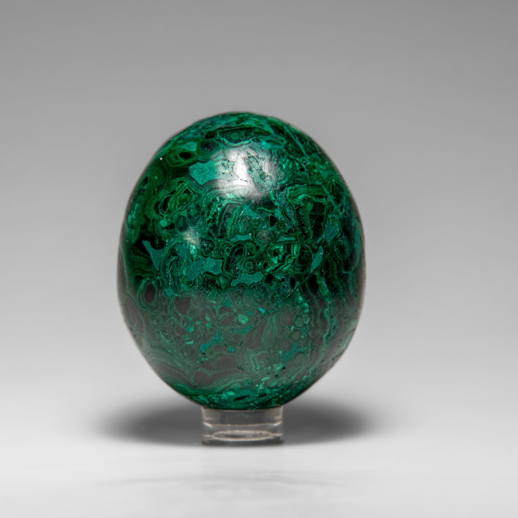 Genuine Polished Malachite Egg (299.8 grams)