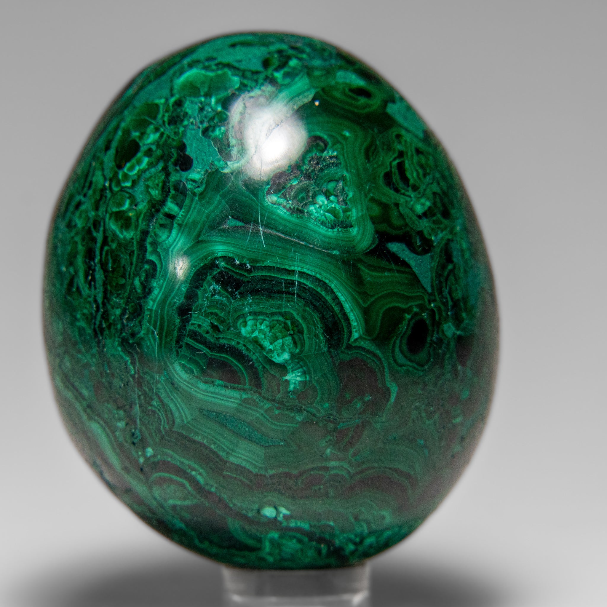Genuine Polished Malachite Egg (299.8 grams)