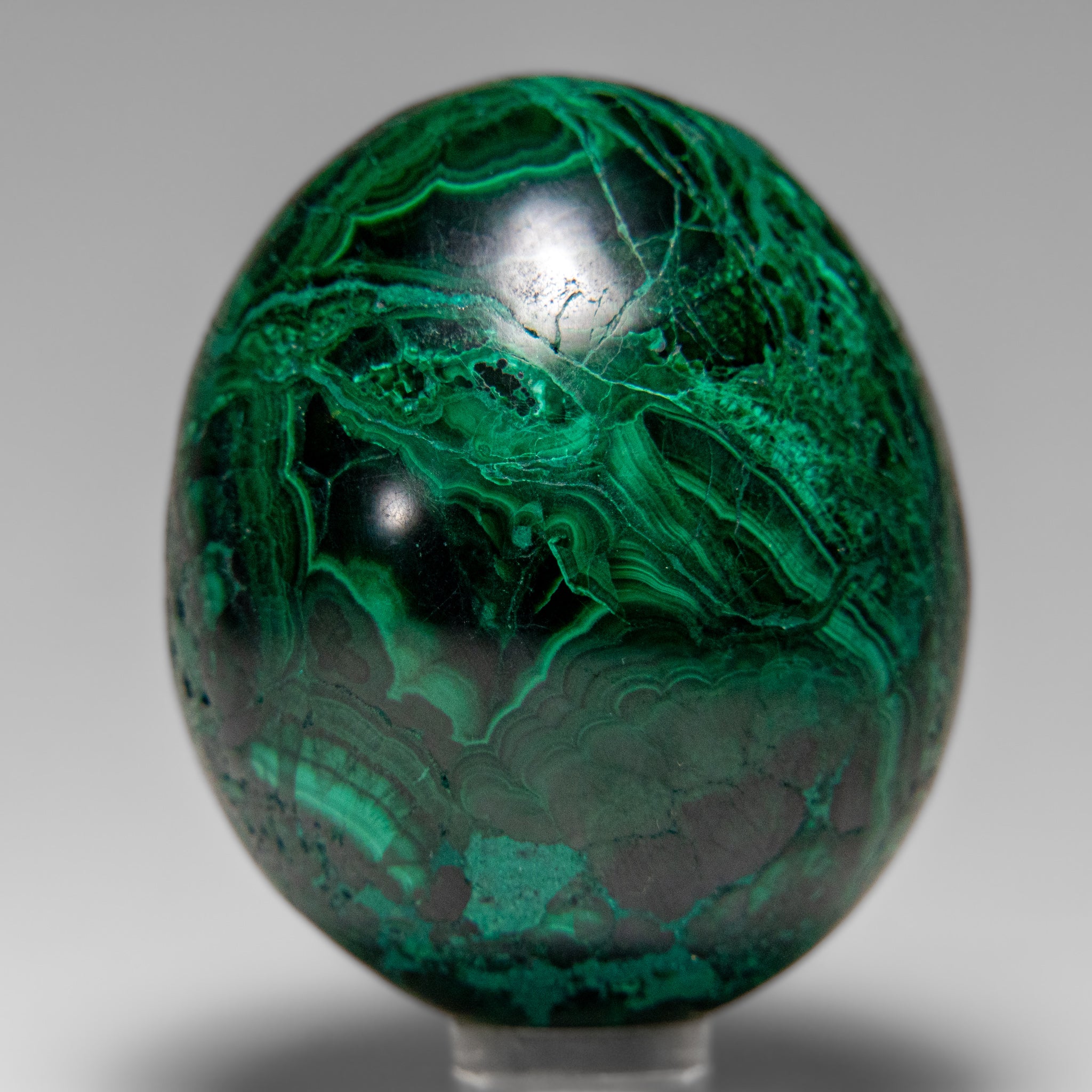 Genuine Polished Malachite Egg (299.8 grams)