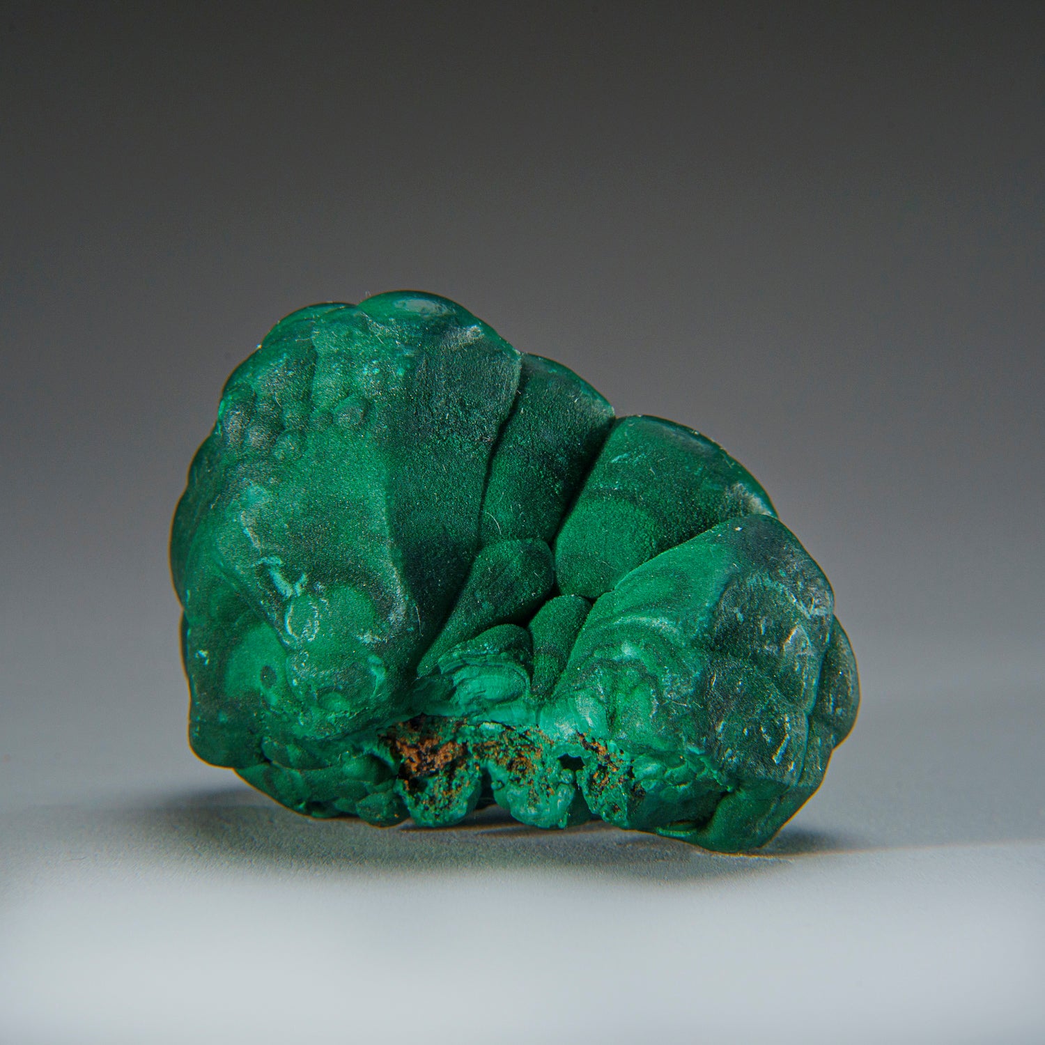 Botryoidal Malachite From Shaba Copper Belt, Katanga (Shaba) Province, Democratic Republic of the Congo (Zaire)