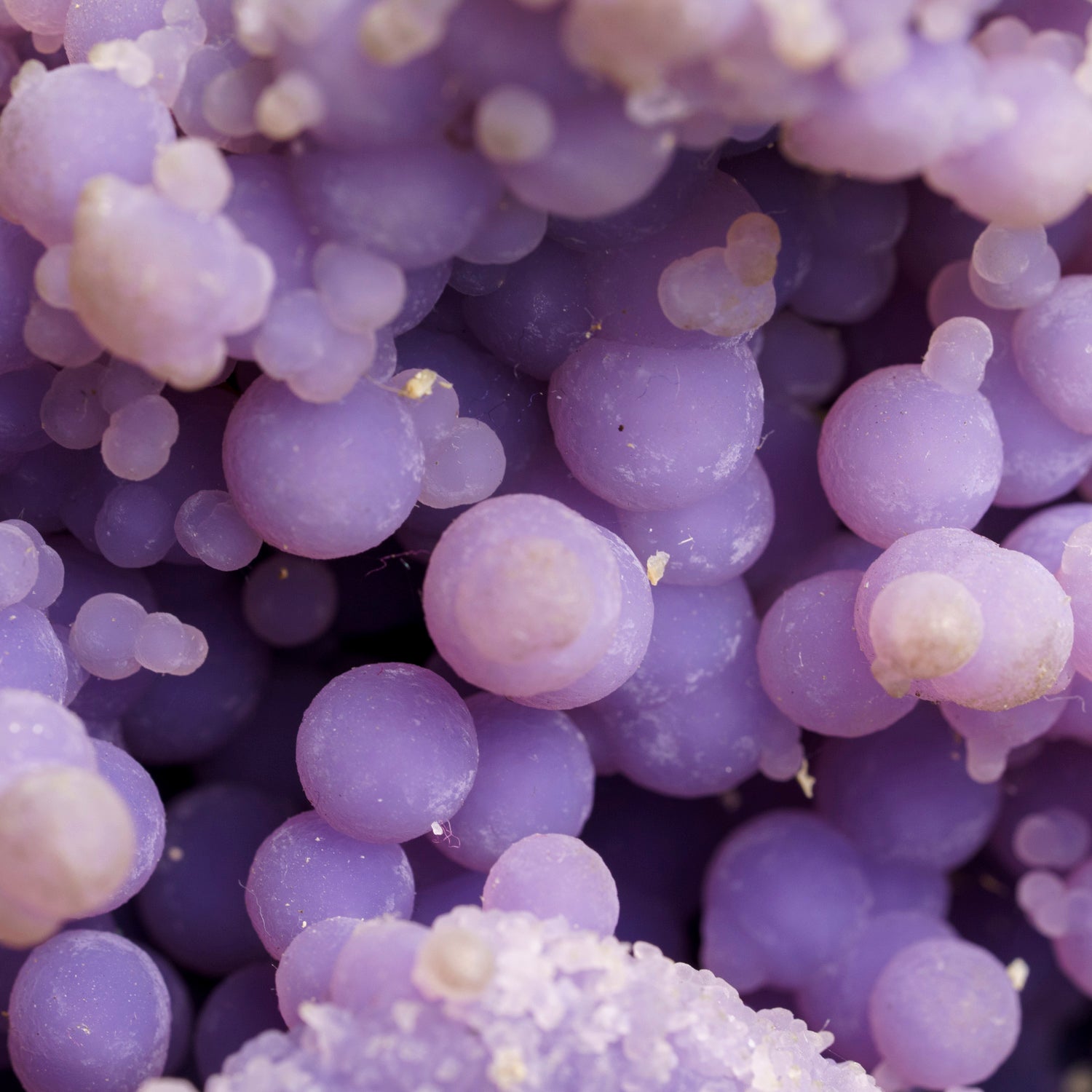 Quartz var. Grape Agate from near Pantai Manakarra, Mamuju, Sulawesi, Indonesia