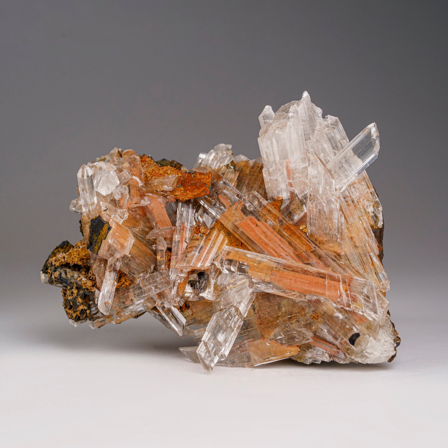 Gypsum var. Selenite from Caverna de Santo Domingo, Achiles Serdan, Chihuahua, Mexico