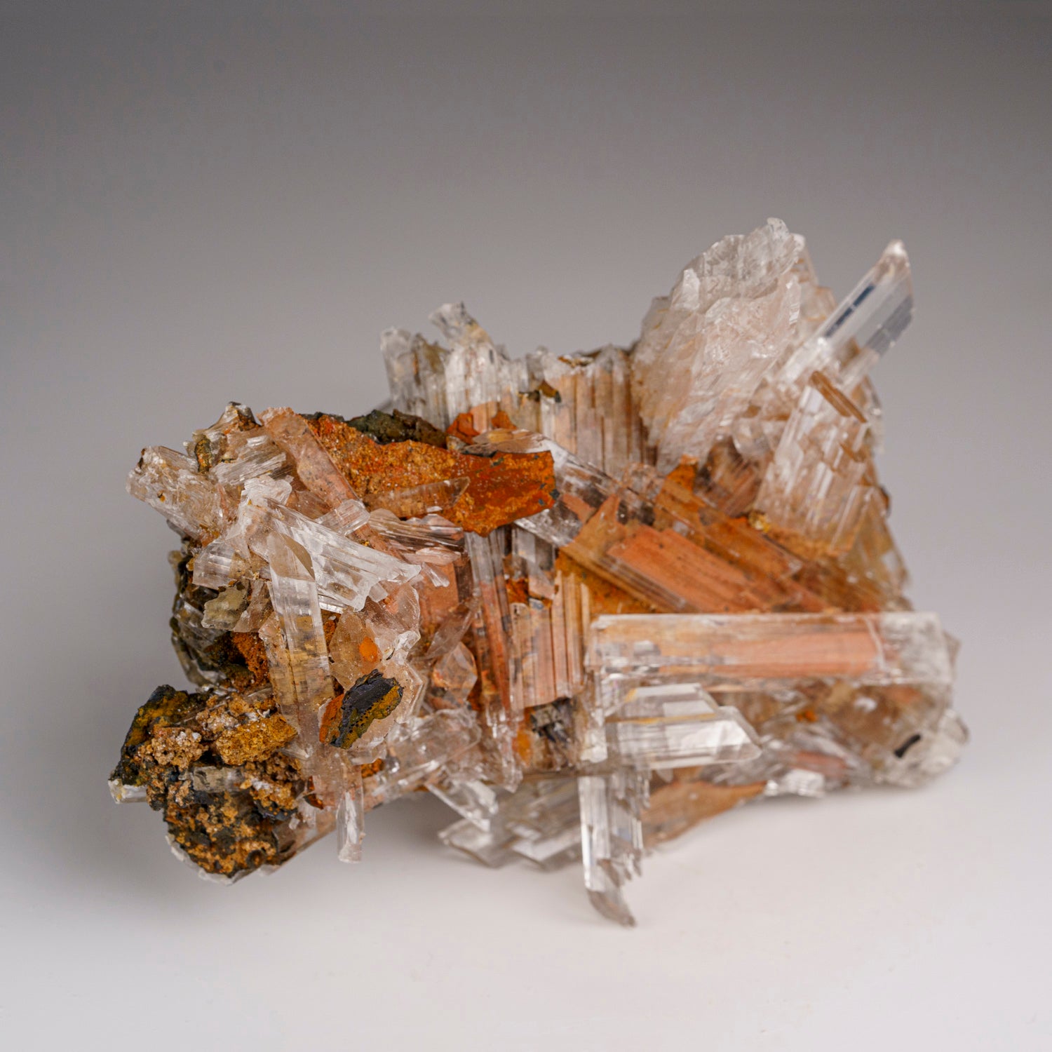 Gypsum var. Selenite from Caverna de Santo Domingo, Achiles Serdan, Chihuahua, Mexico