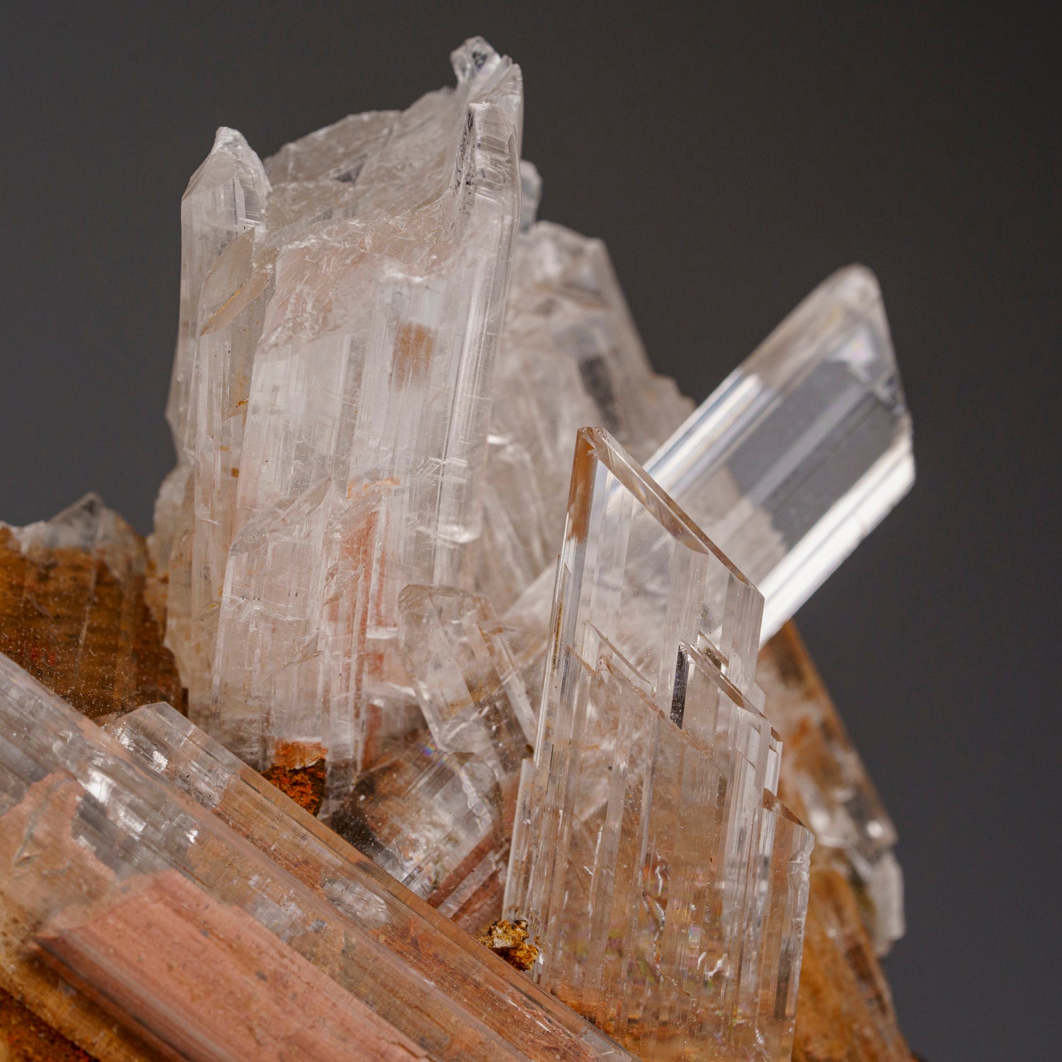 Gypsum var. Selenite from Caverna de Santo Domingo, Achiles Serdan, Chihuahua, Mexico