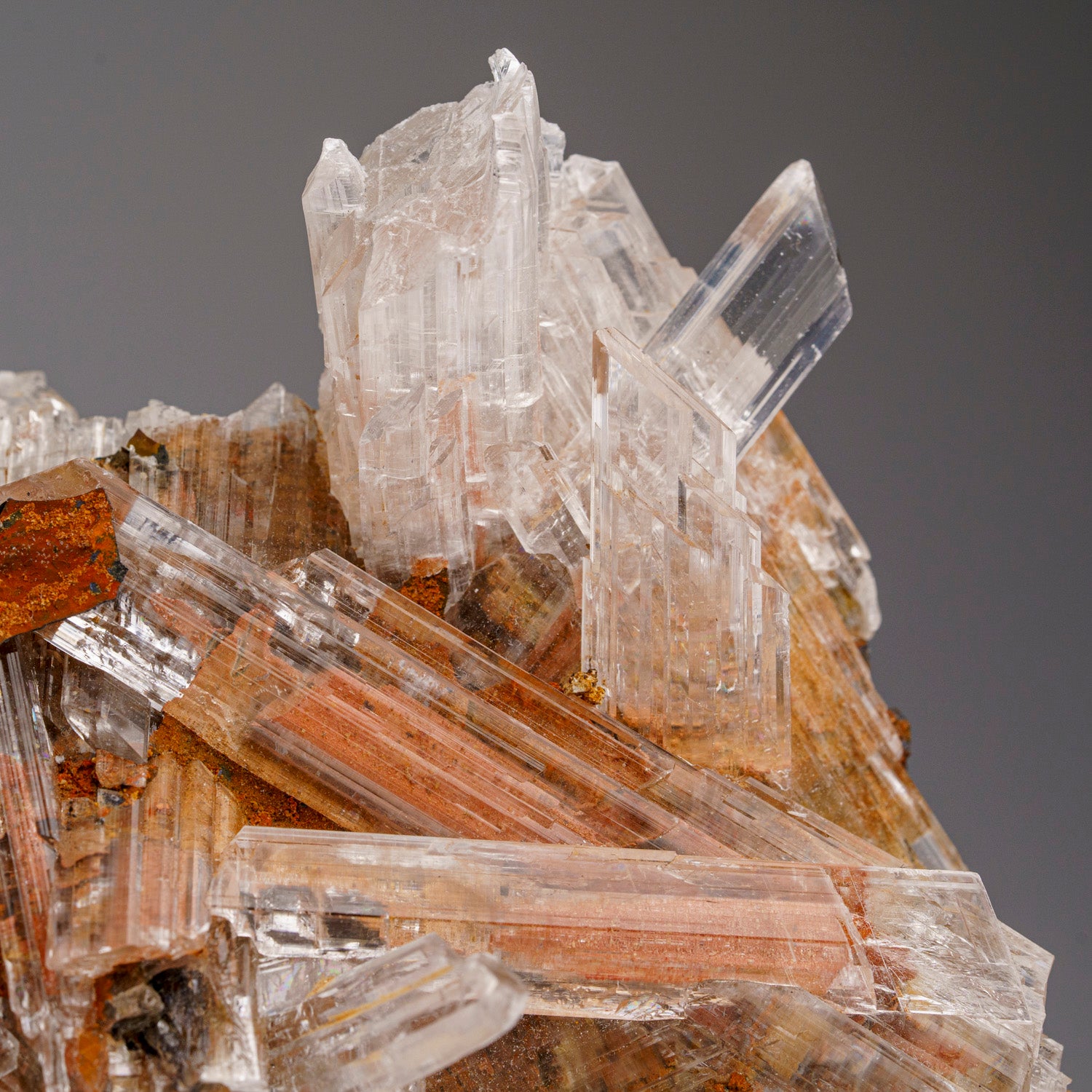 Gypsum var. Selenite from Caverna de Santo Domingo, Achiles Serdan, Chihuahua, Mexico