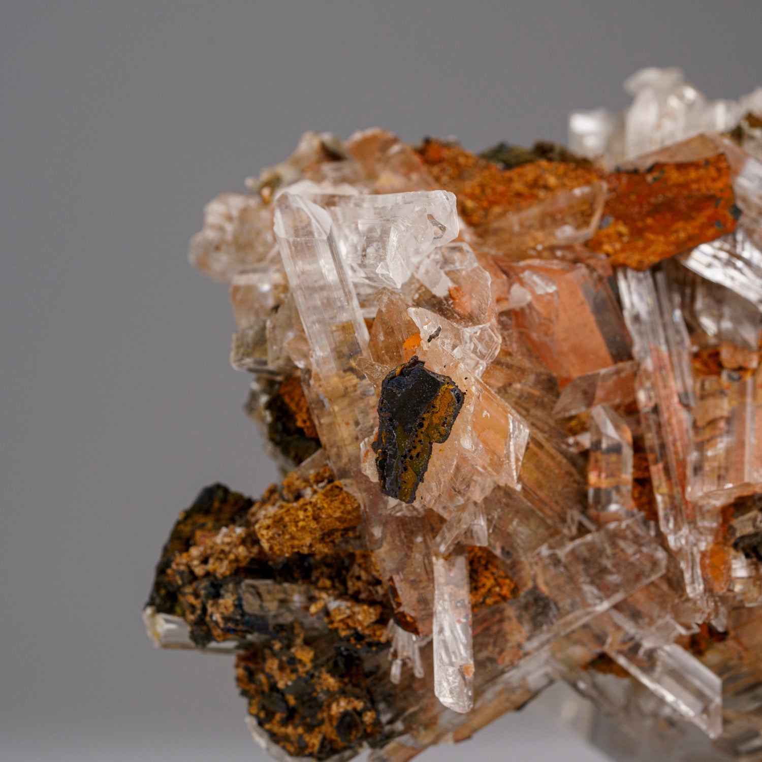 Gypsum var. Selenite from Caverna de Santo Domingo, Achiles Serdan, Chihuahua, Mexico