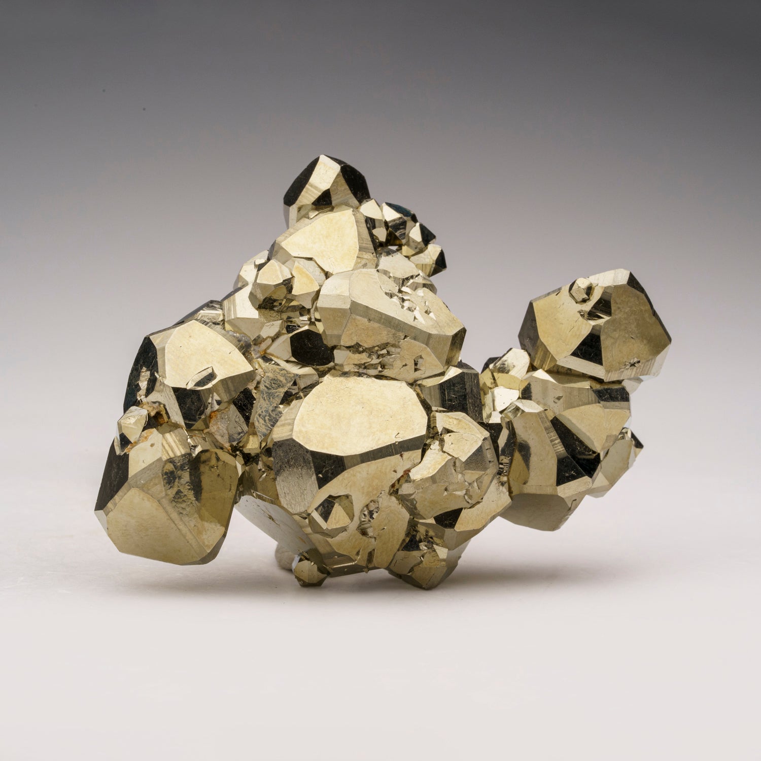 Pyrite from Isola d'Elba, Tuscan Archipelago, Livorno, Italy