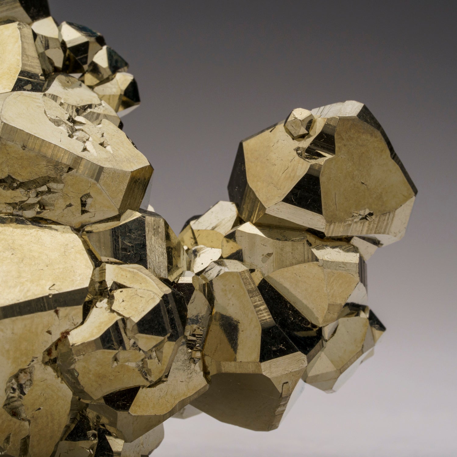 Pyrite from Isola d'Elba, Tuscan Archipelago, Livorno, Italy