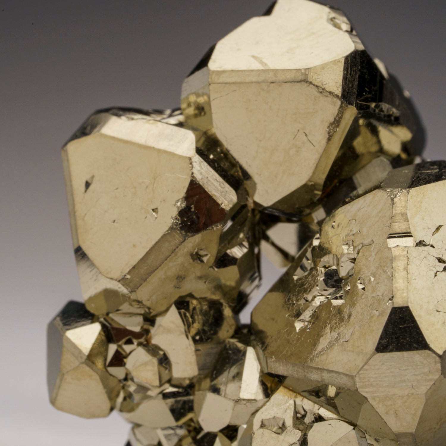 Pyrite from Isola d'Elba, Tuscan Archipelago, Livorno, Italy